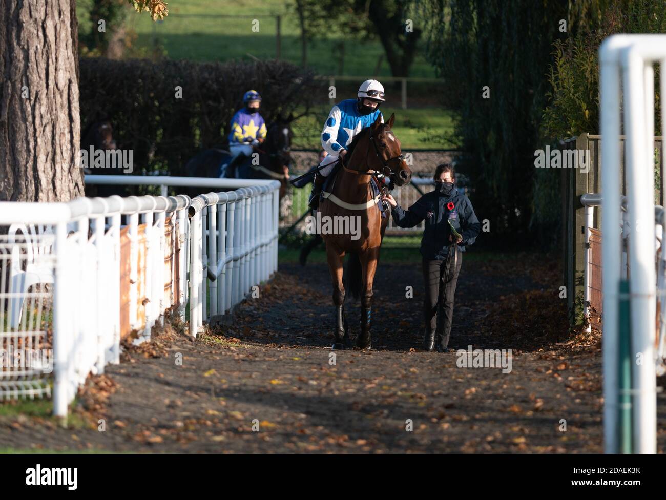 Jockey Tom Queally makes his steeplechase debut at Fontwell Park, Sussex, UK. Stock Photo