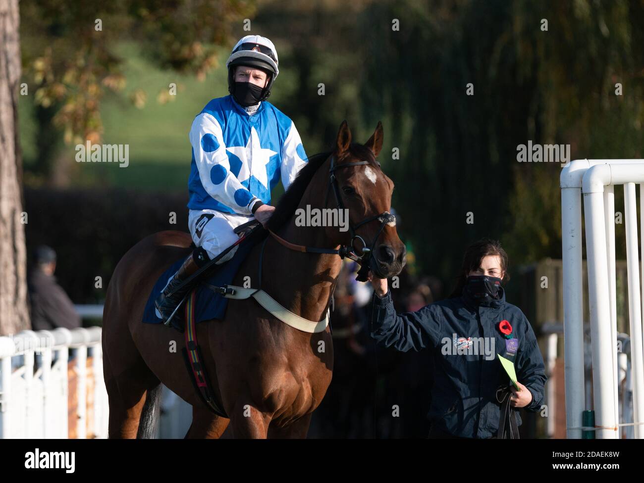 Jockey Tom Queally makes his steeplechase debut at Fontwell Park, Sussex, UK. Stock Photo
