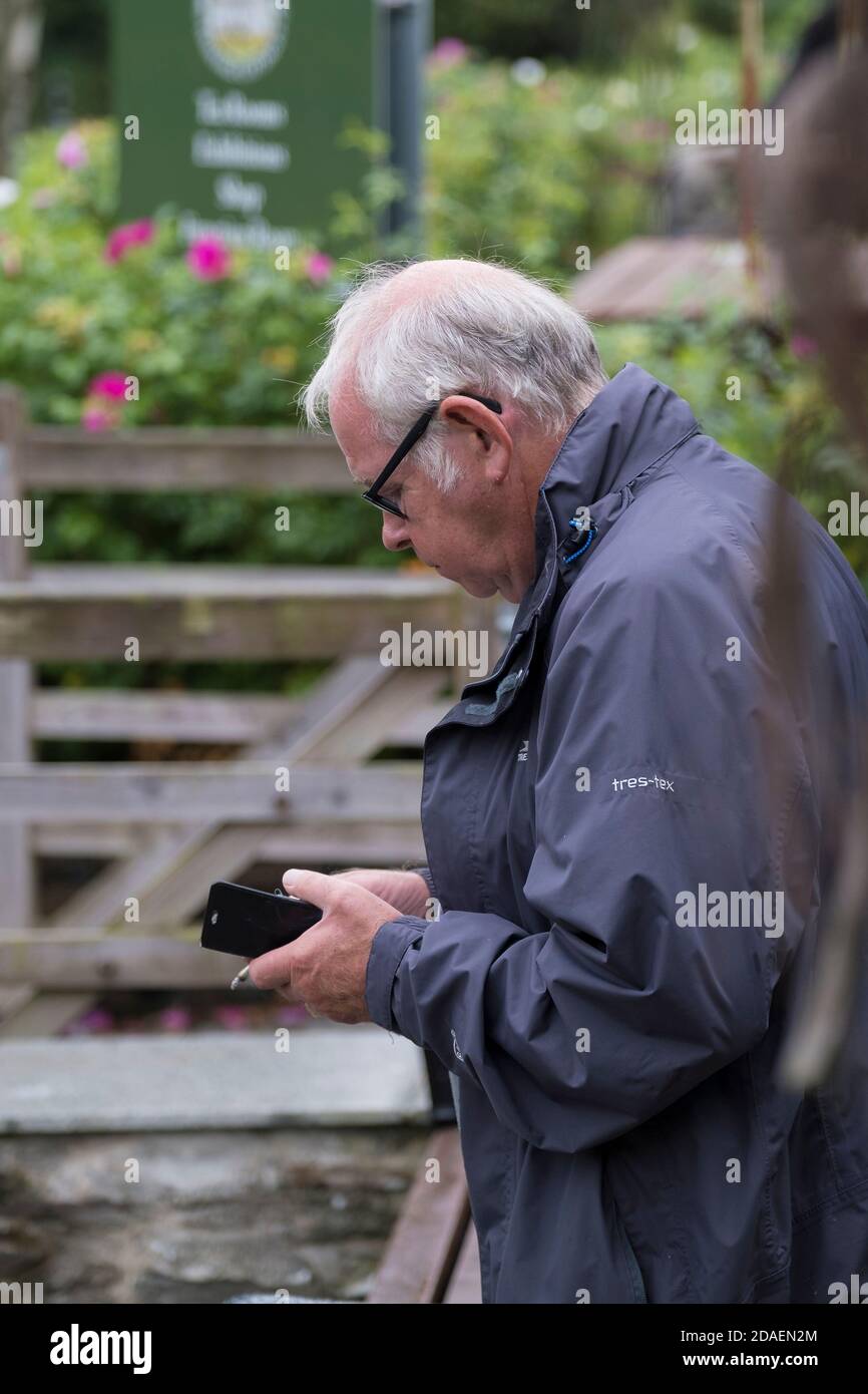 A mature man texting on a smartphone. Stock Photo