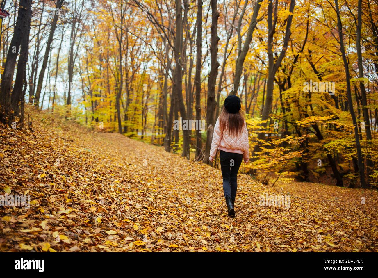 Back view of a young female in autumn park Stock Photo - Alamy
