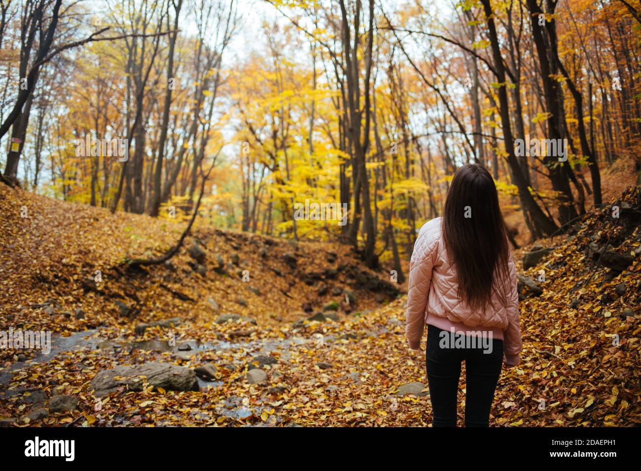 Back view of a young female in autumn park Stock Photo - Alamy