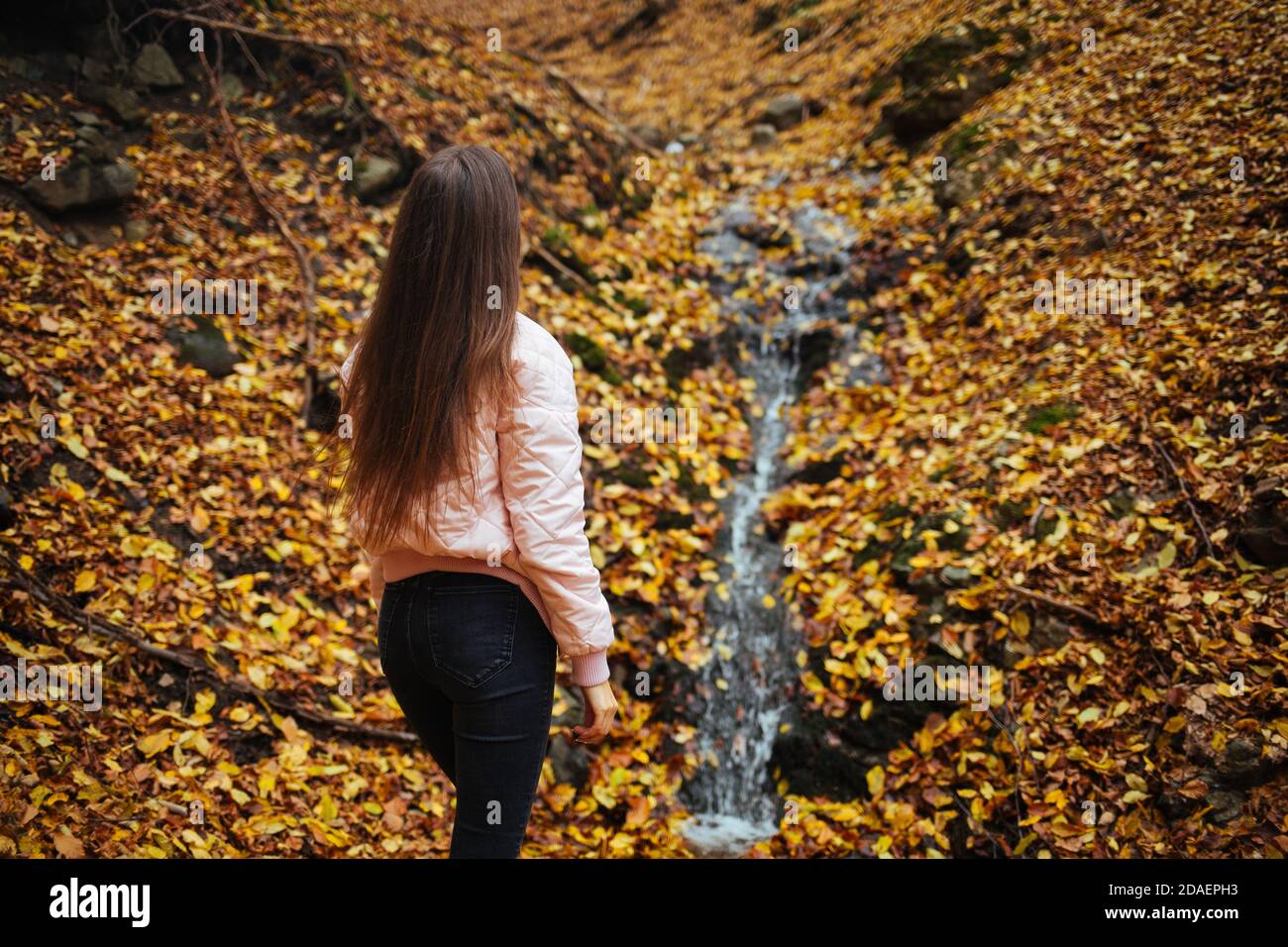 Back view of a young female in autumn park Stock Photo - Alamy