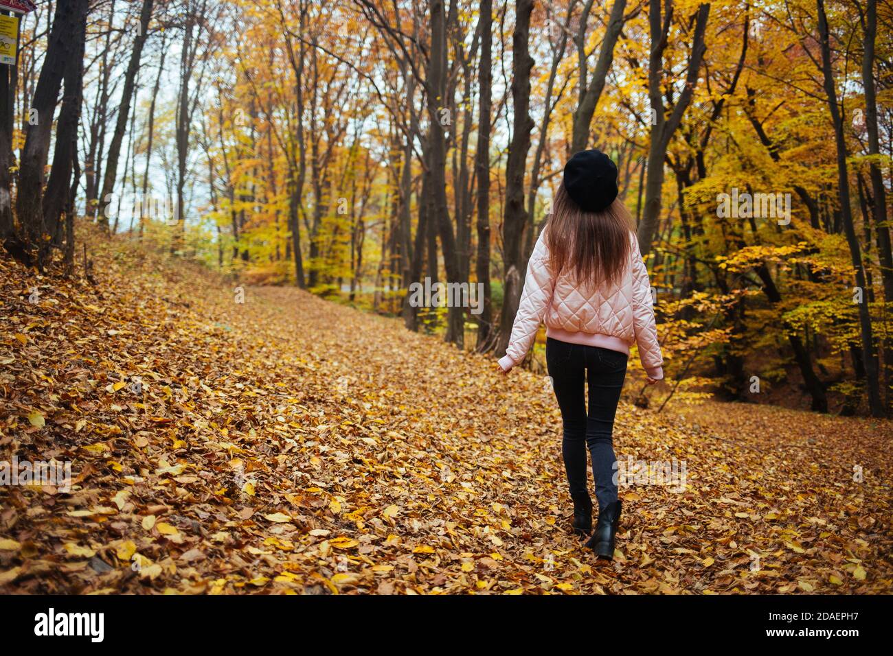 Back view of a young female in autumn park Stock Photo - Alamy