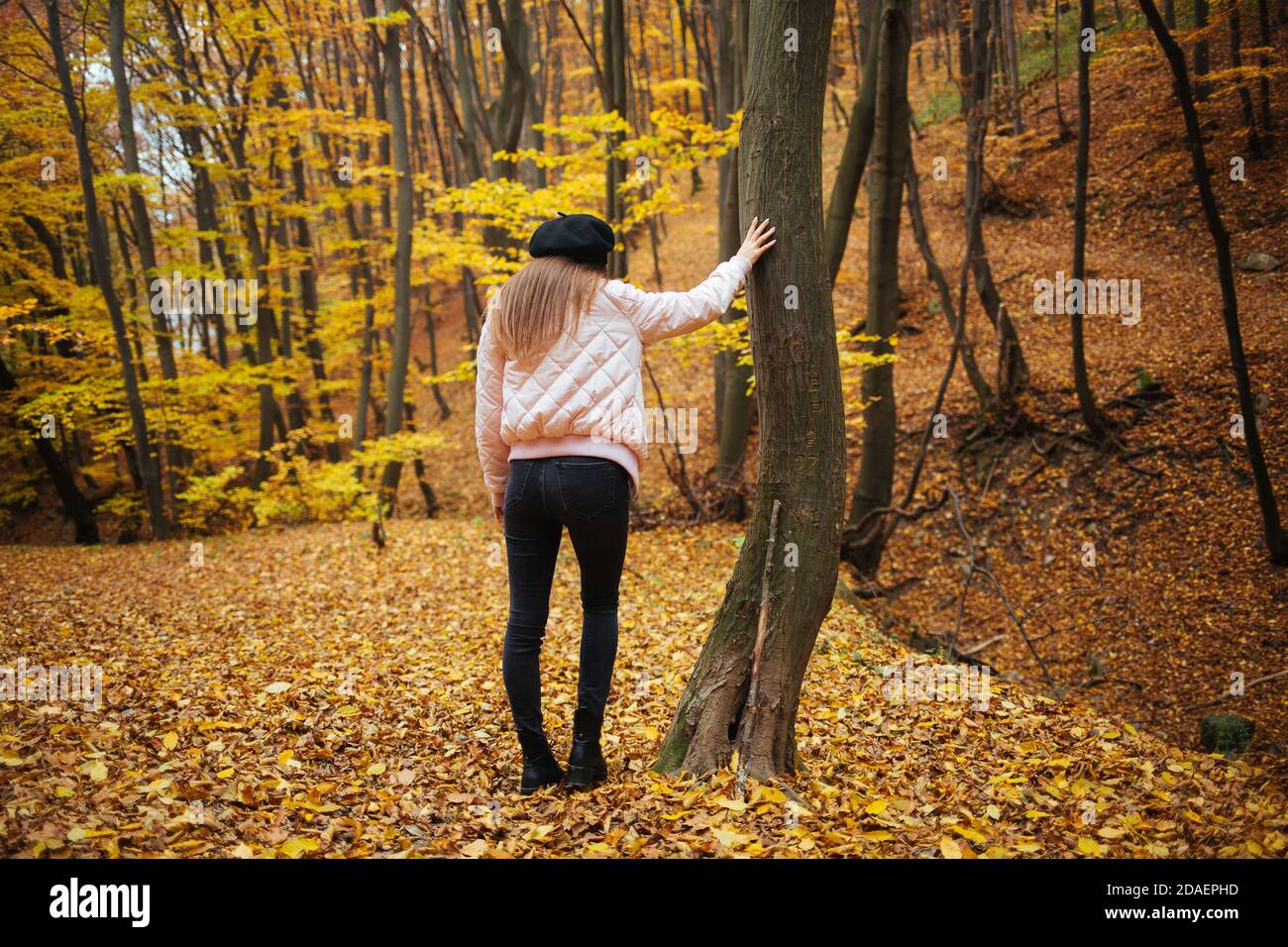 Back view of a young female in autumn park Stock Photo - Alamy