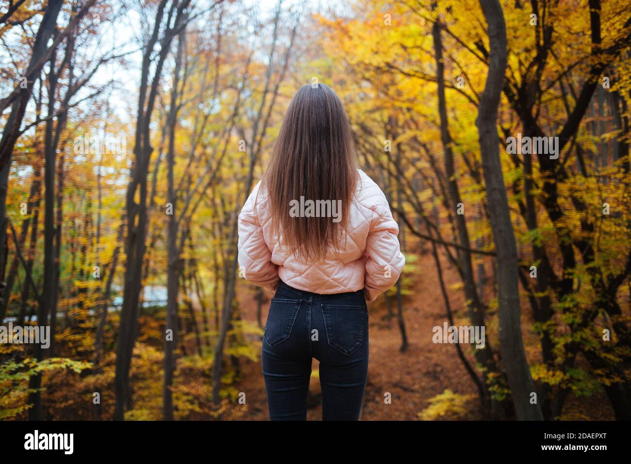 Back view of a young female in the autumn park Stock Photo - Alamy