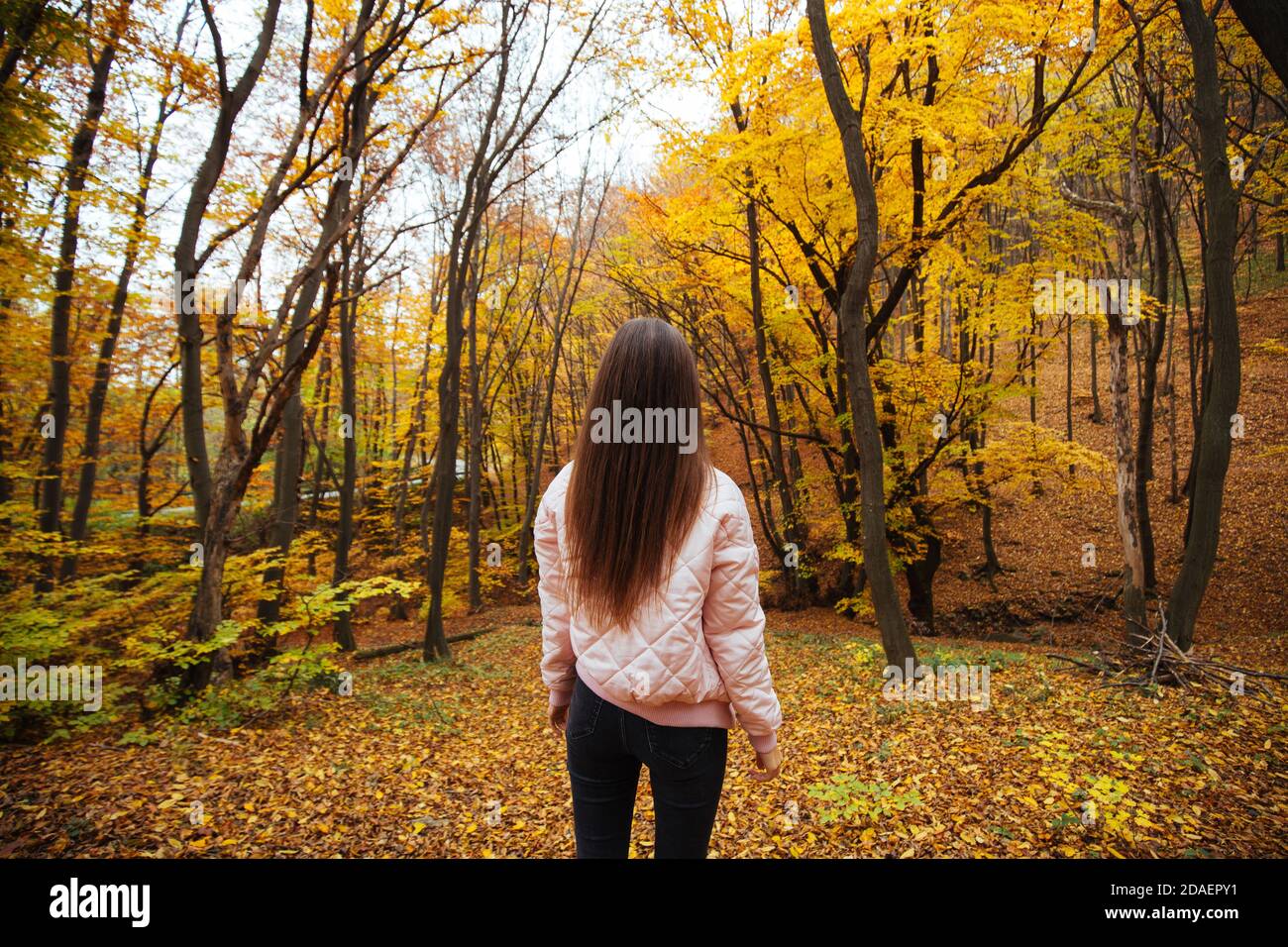 Back view of a young female in the autumn park Stock Photo - Alamy