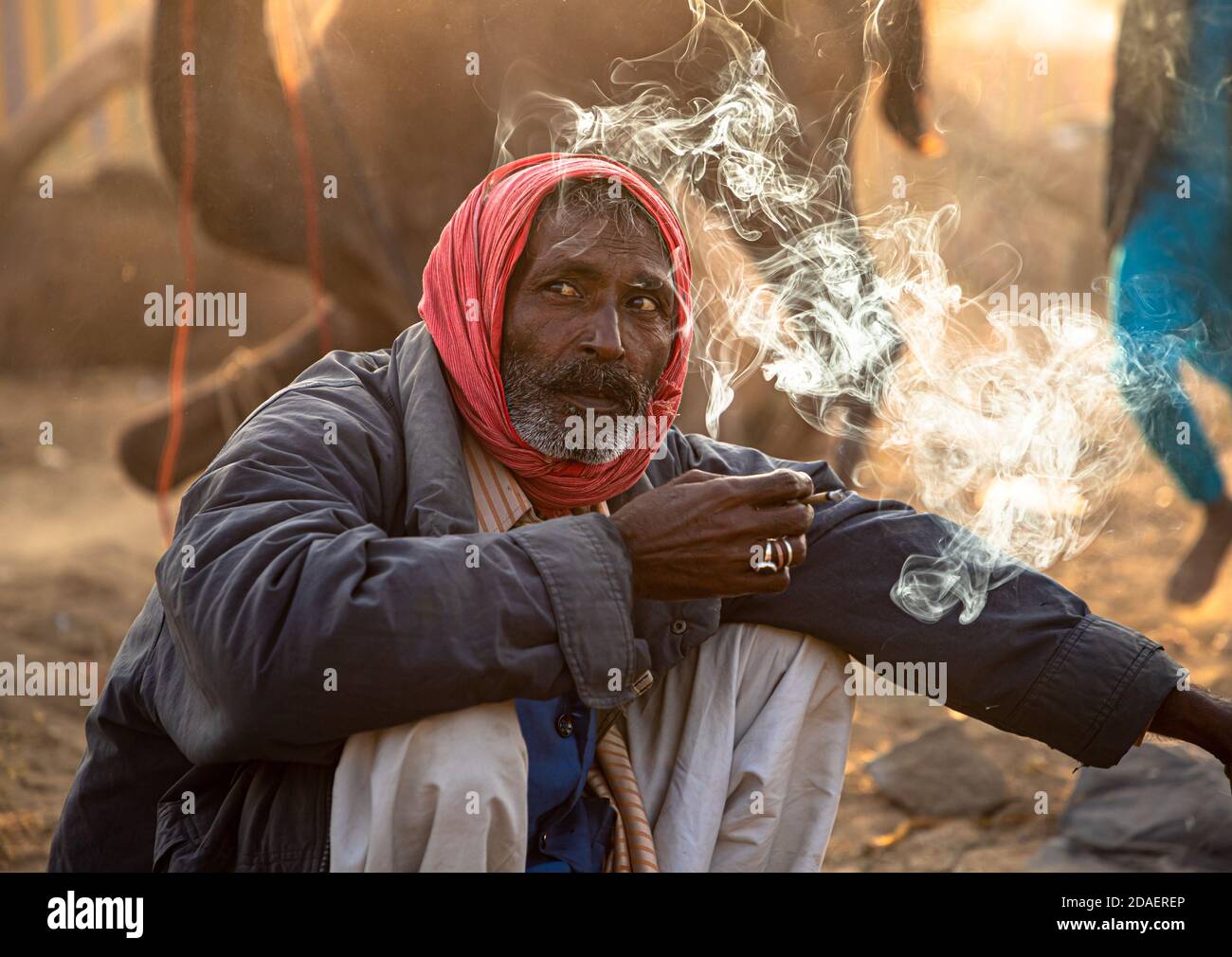 portrait of a man smoking bidi at pushkar festival,india. Stock Photo