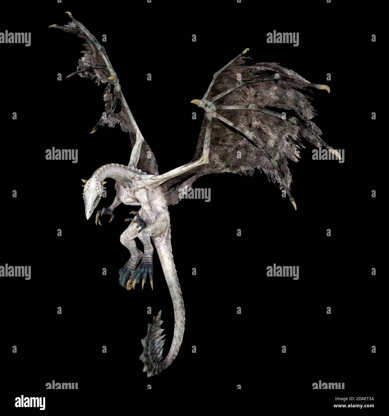 3D rendering of a fantasy dragon isolated on black background Stock ...