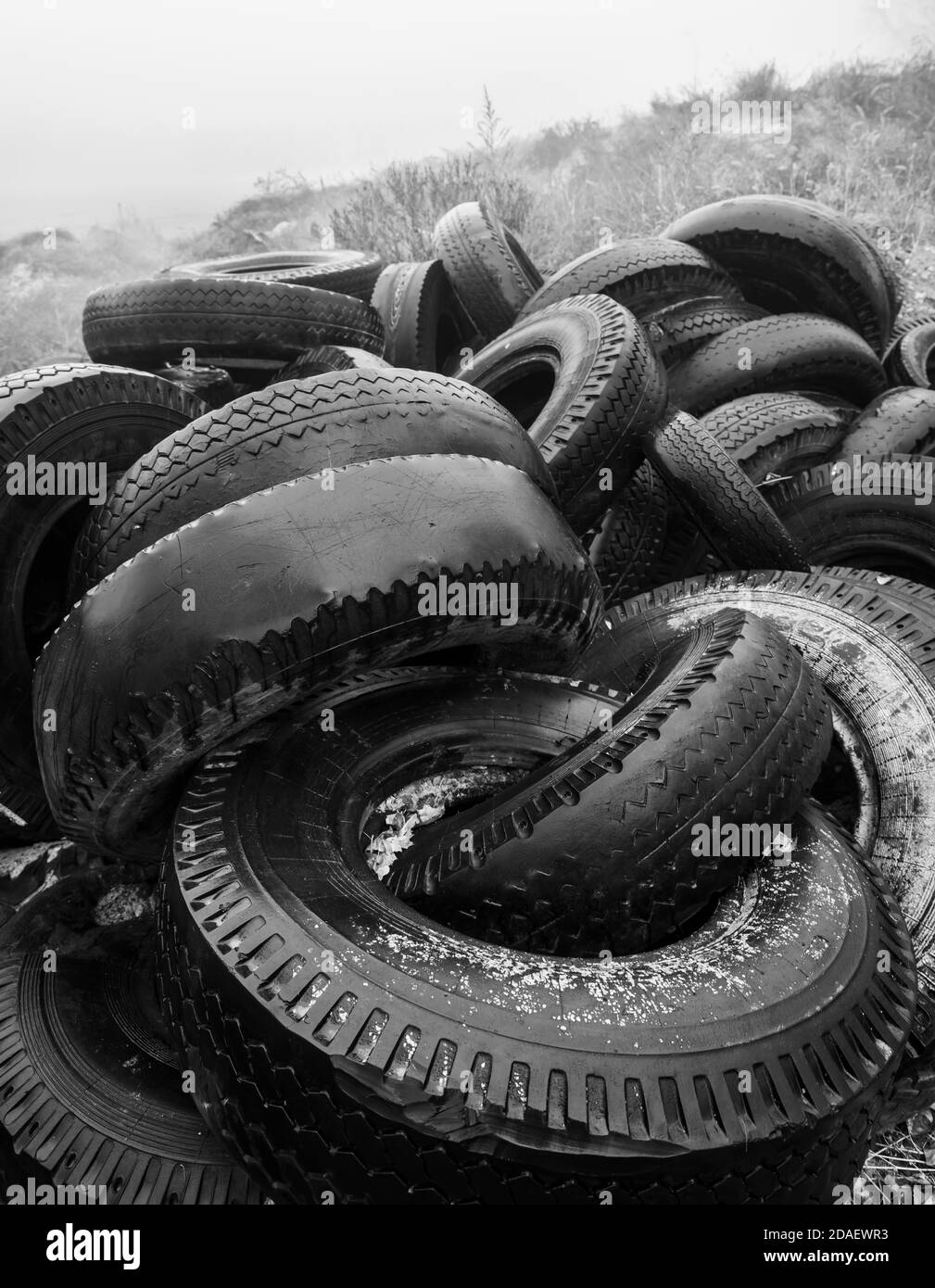 Ecological concept. Heap of old tires. Dump of old used tires in the city on a foggy autumn day Stock Photo