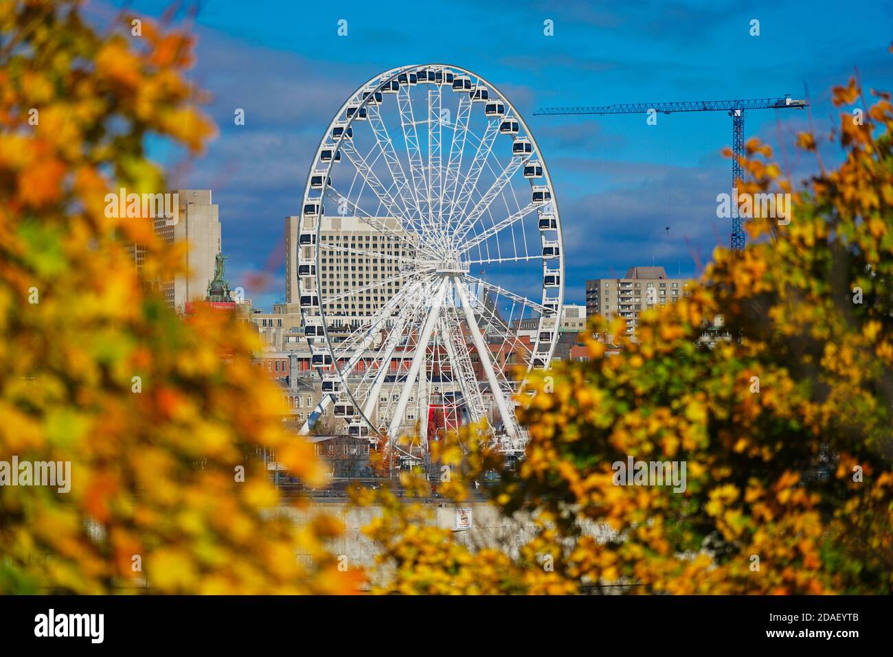 Montreal,Quebec,Canada,October 27, 2020.Montreal Ferris wheel 'La Grande Roue' seen through autumn trees.Credit:Mario Beauregard/Alamy News Stock Photo