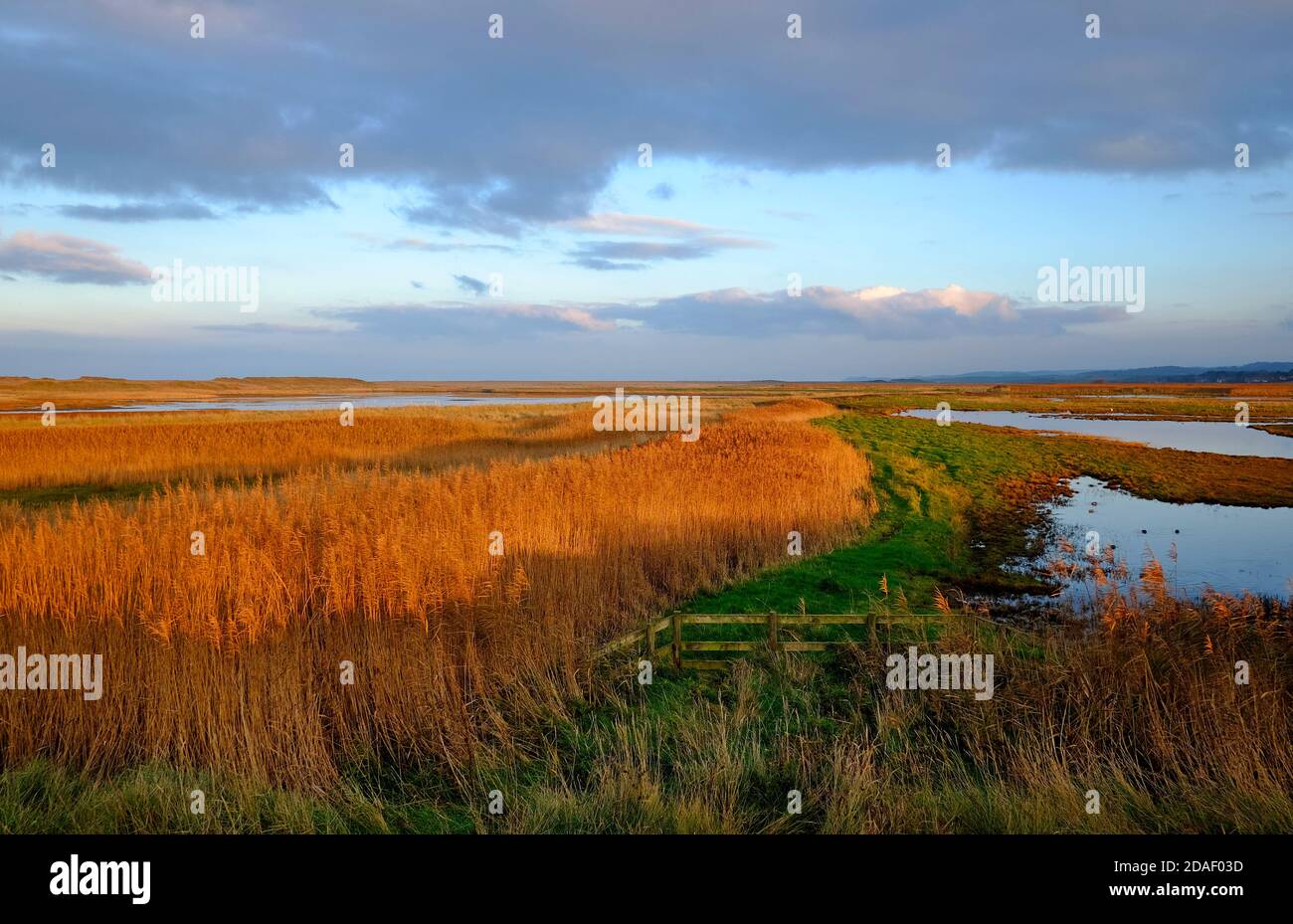 cley-next-the-sea nature reserve, north norfolk, england Stock Photo