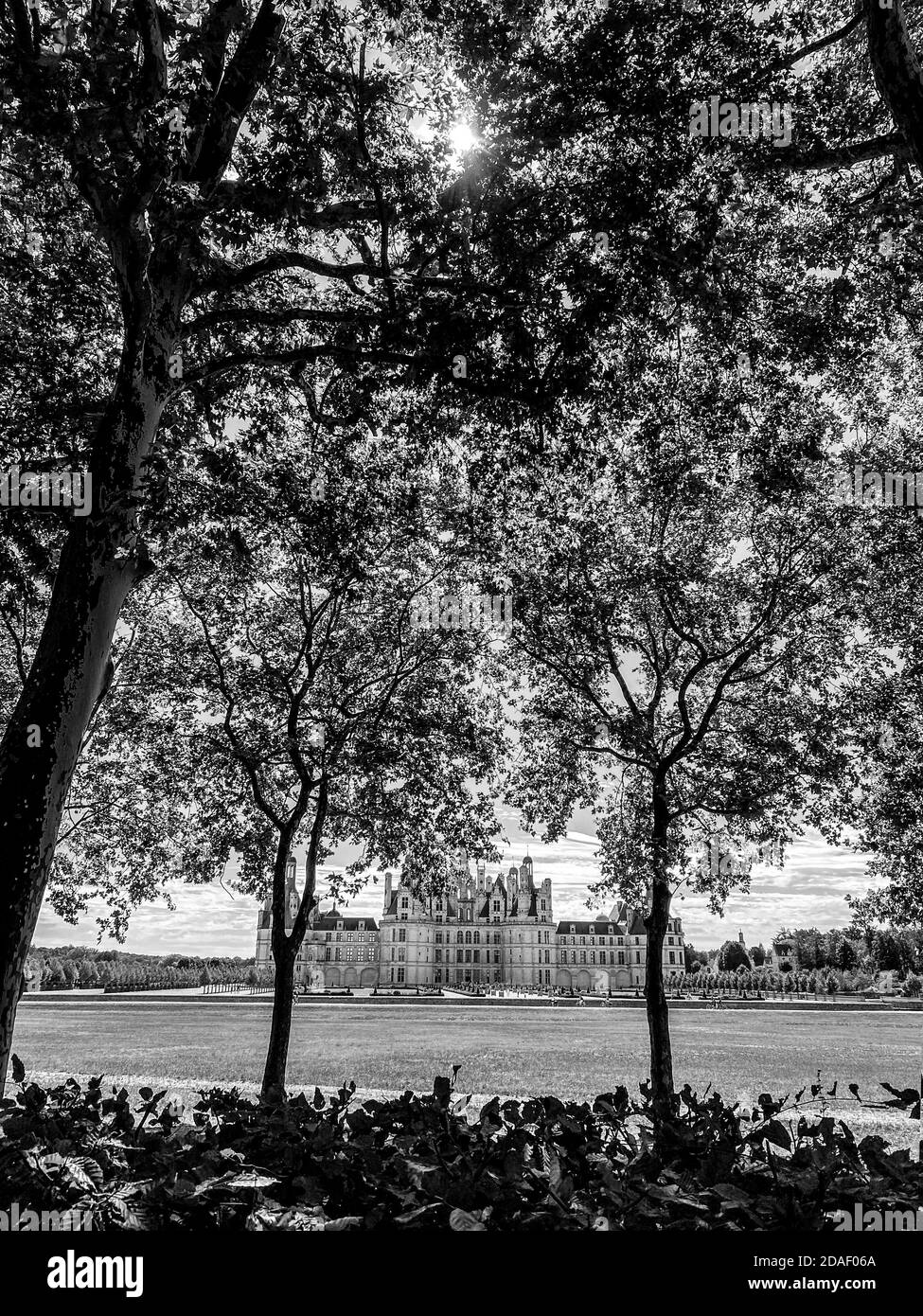 view through trees foliage Chateau de Chambord in the Loire Valley