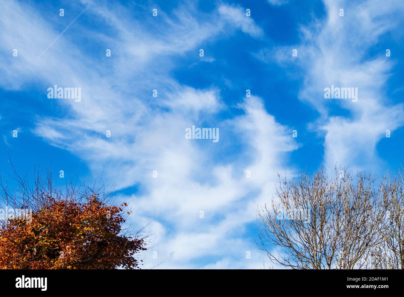 Dramatic Display of Cirrus Cloud on a Bright and Sunny November Morning in South East England Stock Photo