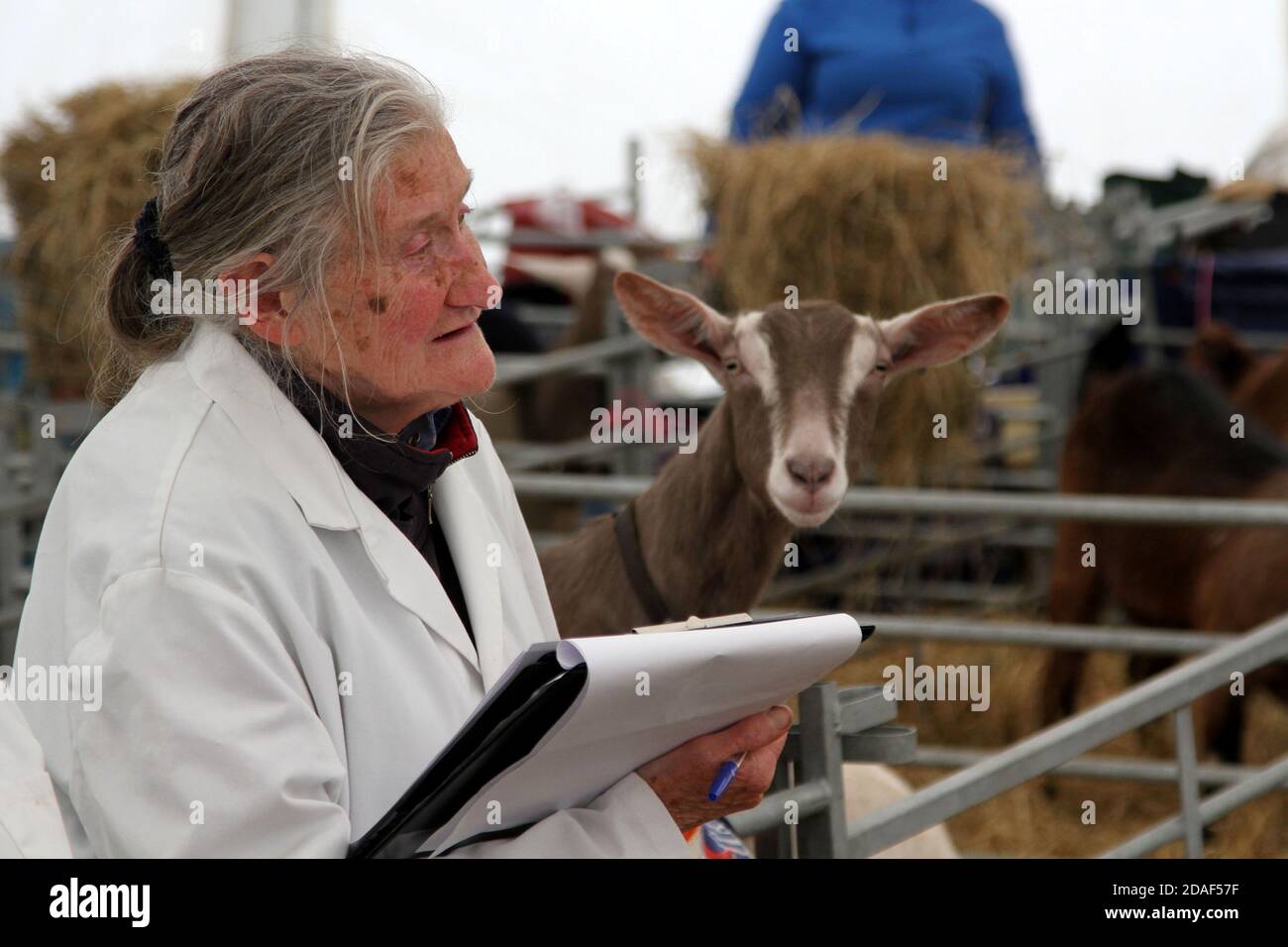 Ayr Agricultural Cattle Show, Ayrshire Scotland. The annual show