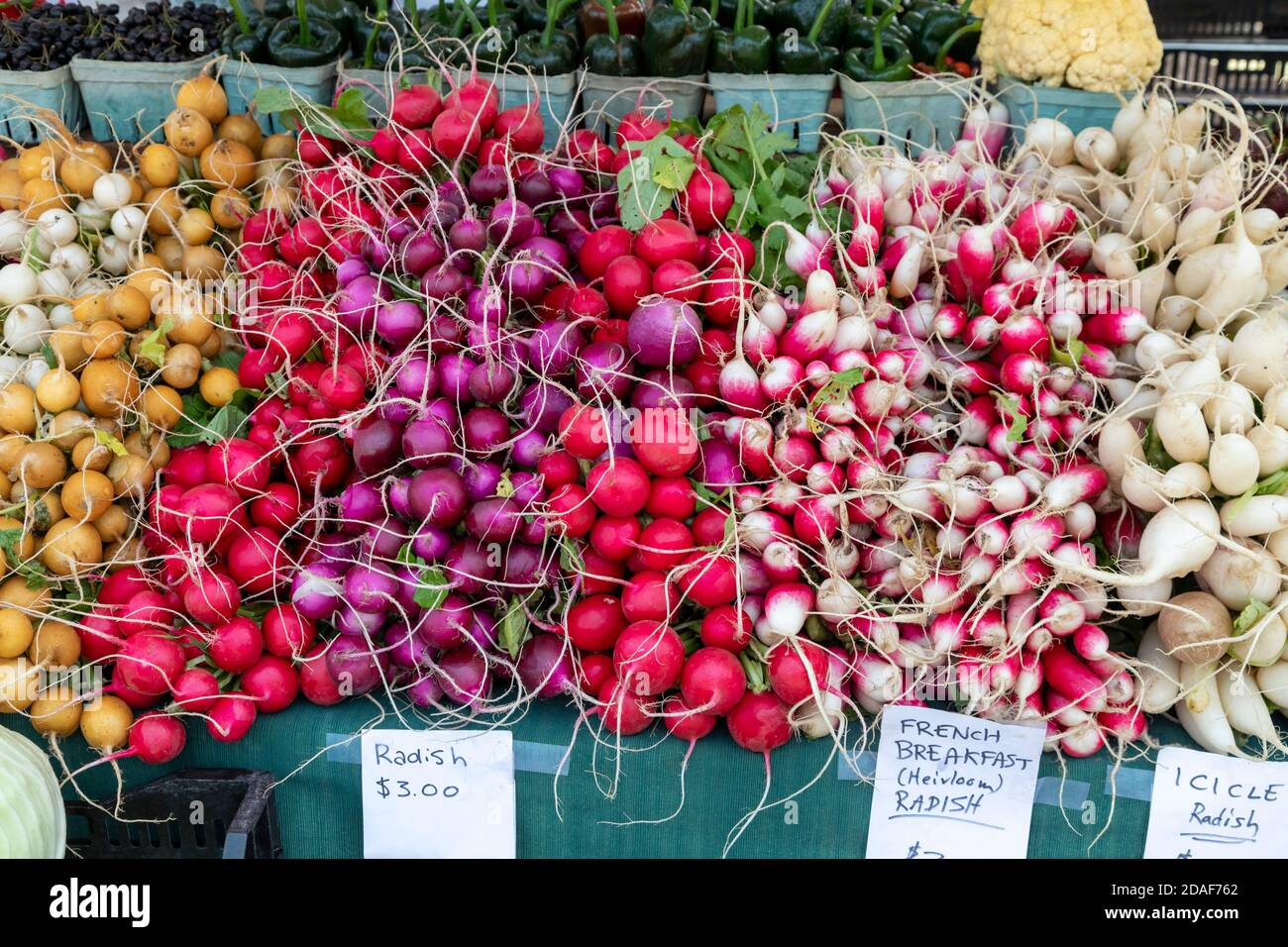 Lansing, Michigan - Radishes on sale at a farmers market. Stock Photo