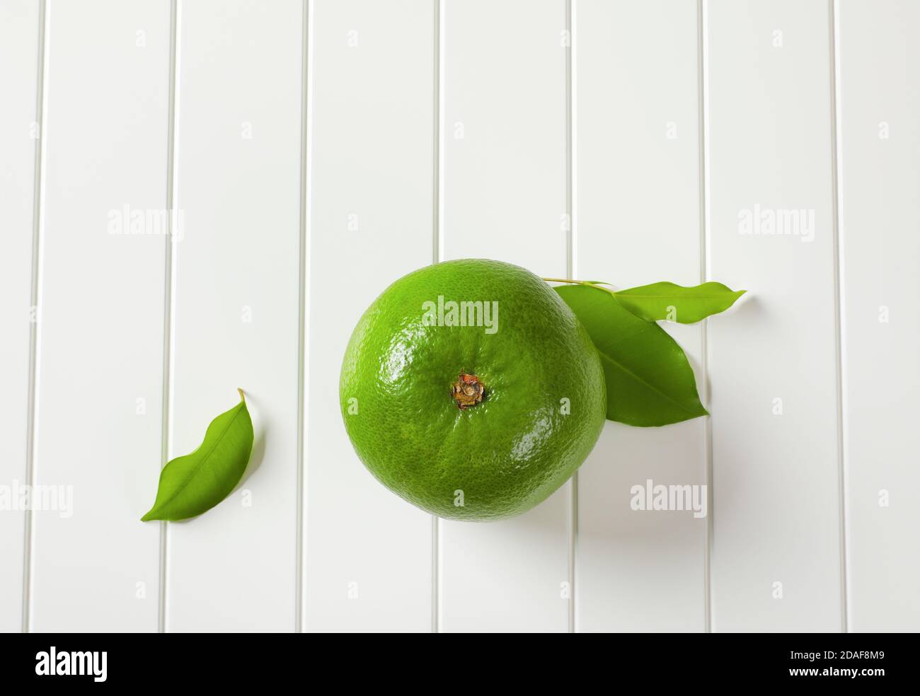 Sweetie fruit (green grapefruit, pomelit) - a cross between a grapefruit and a pomelo Stock Photo