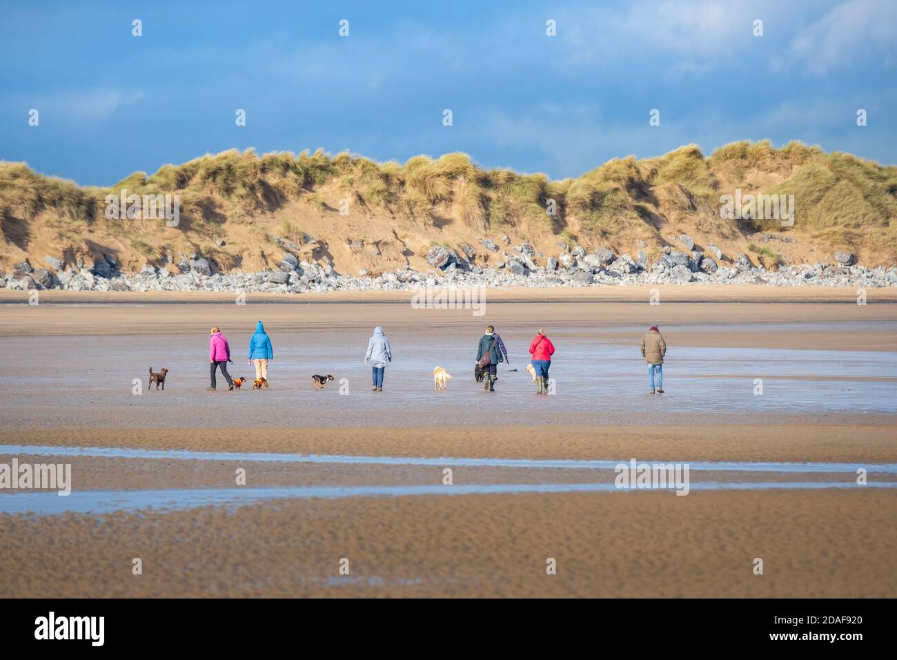 Dog walkers on a beach Stock Photo