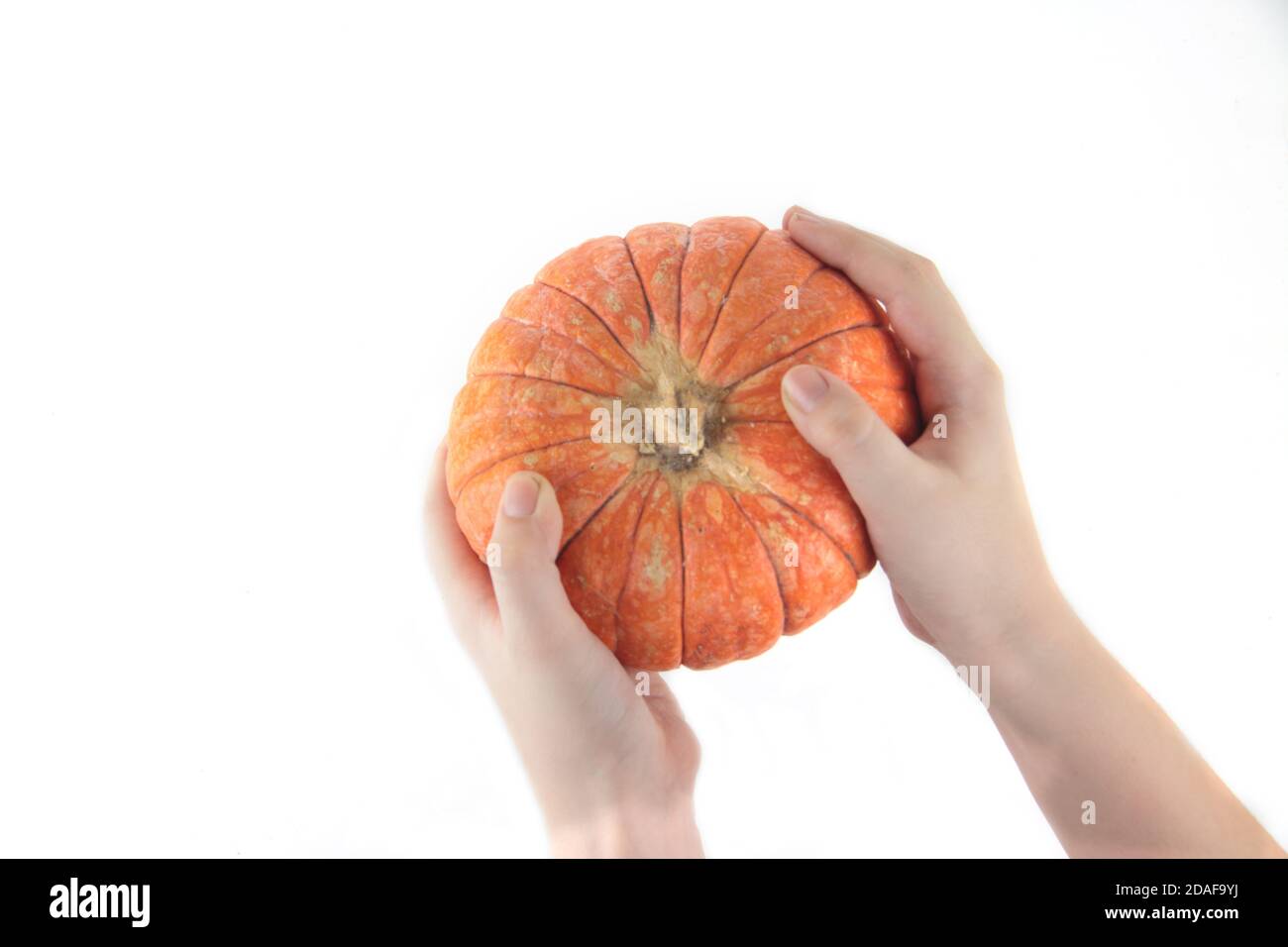 kids hands holding a pumpkin isolated on white backgroud flat lay. Healthy eating concept. Image contains copy space Stock Photo
