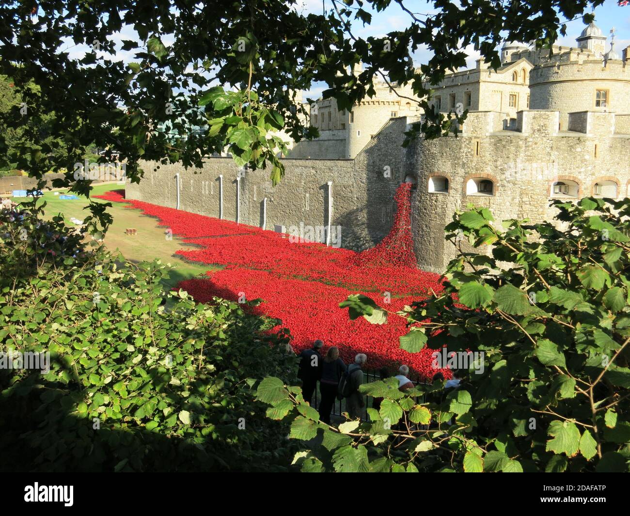 Remembrance Poppies - Tower of London Stock Photo