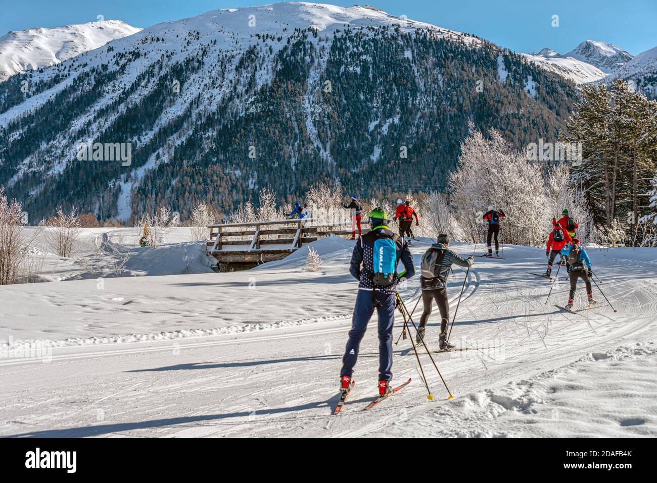 Cross country skiier in a Winter landscape near Samedan at the Engadine, Grisons, Switzerland Stock Photo
