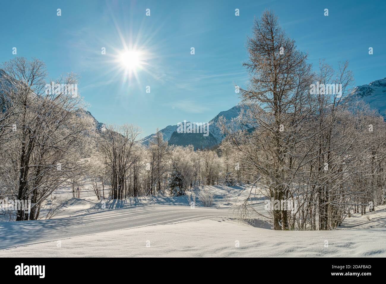 Cross country skiing loipe in a Winter landscape near Samedan at the Engadine, Grisons, Switzerland Stock Photo