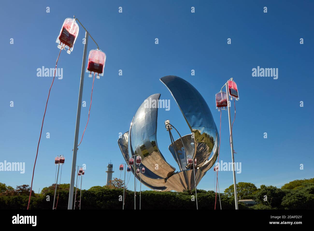 Buenos Aires, Argentina, 11th November 2020. Bags of blood in front of one of the symbols of the Argentine capital, the Floralis Generica monument. 'Alquimia' is a public exhibition of the Argentine contemporary artist Marcelo Toledo set up on the occasion of the 'National Day of Voluntary Blood Donor' (November 9) in collaboration with the Civil Association 'Dale Vida”. Open to the public until November 15, 2020, from 8 to 20. Recoleta, Buenos Aires, Argentina, South America. Credit: Nicholas Tinelli/Alamy Live News. Stock Photo