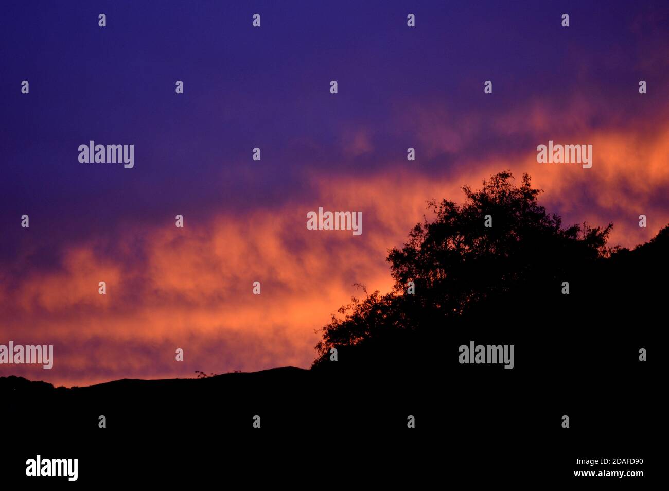 Mountain and tree black silhouette against a deep blue purple sky with clouds in pink and orange undertones Stock Photo