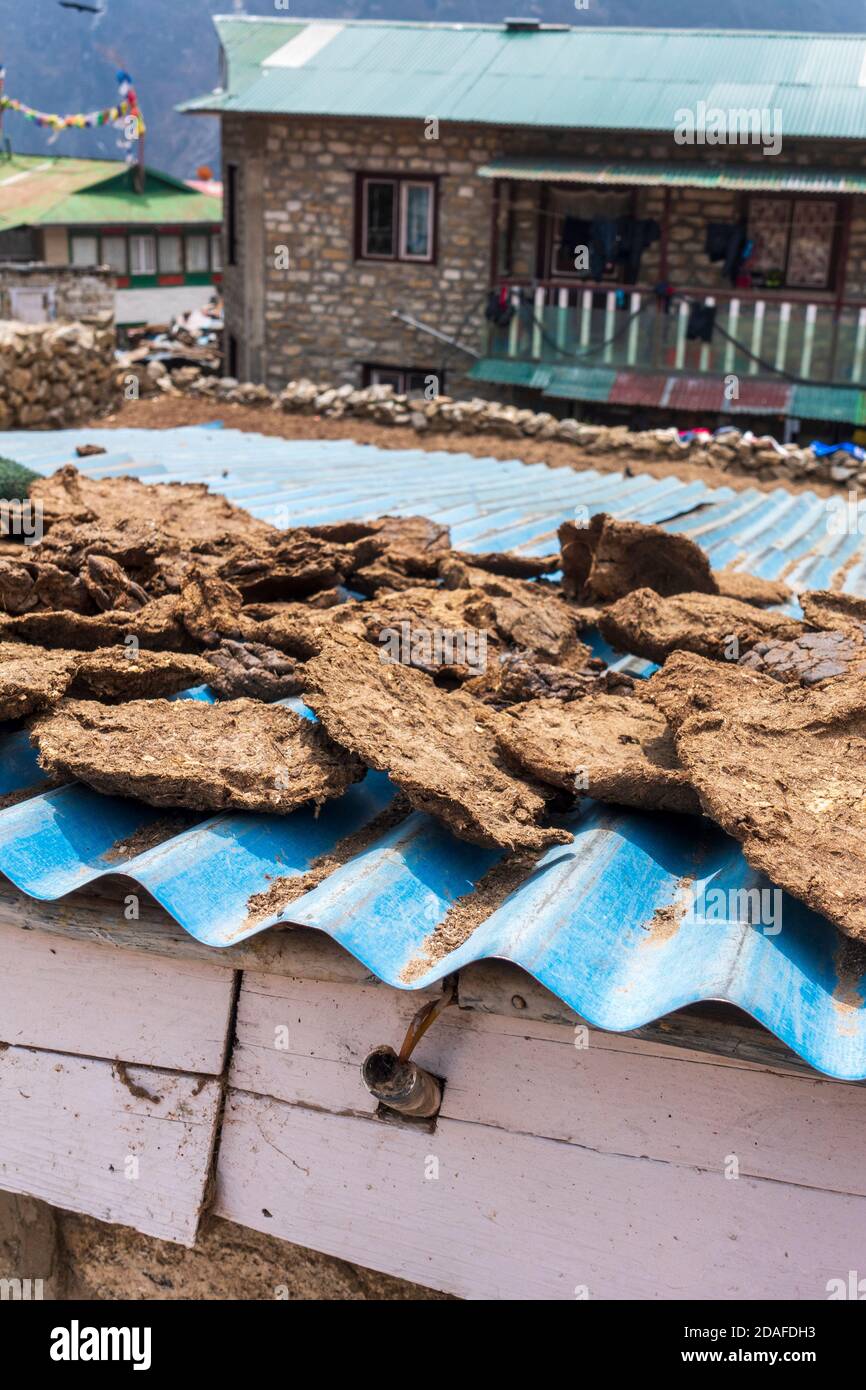 Yak dung used for fuel drying outside in Namche Bazar, Nepal Stock Photo