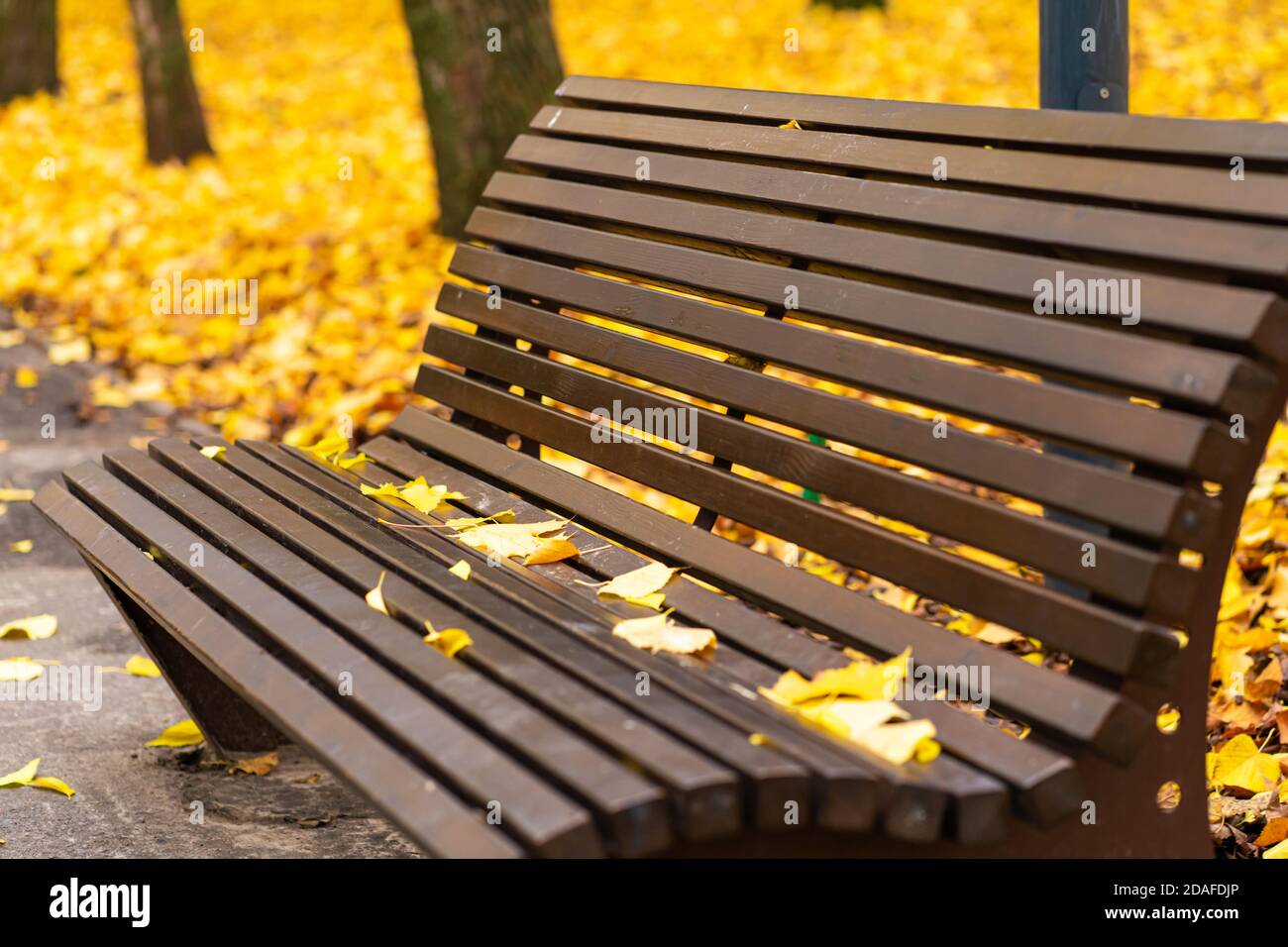 Cozy bench for rest in an autumn park with yellow leaves. Autumn mood ...