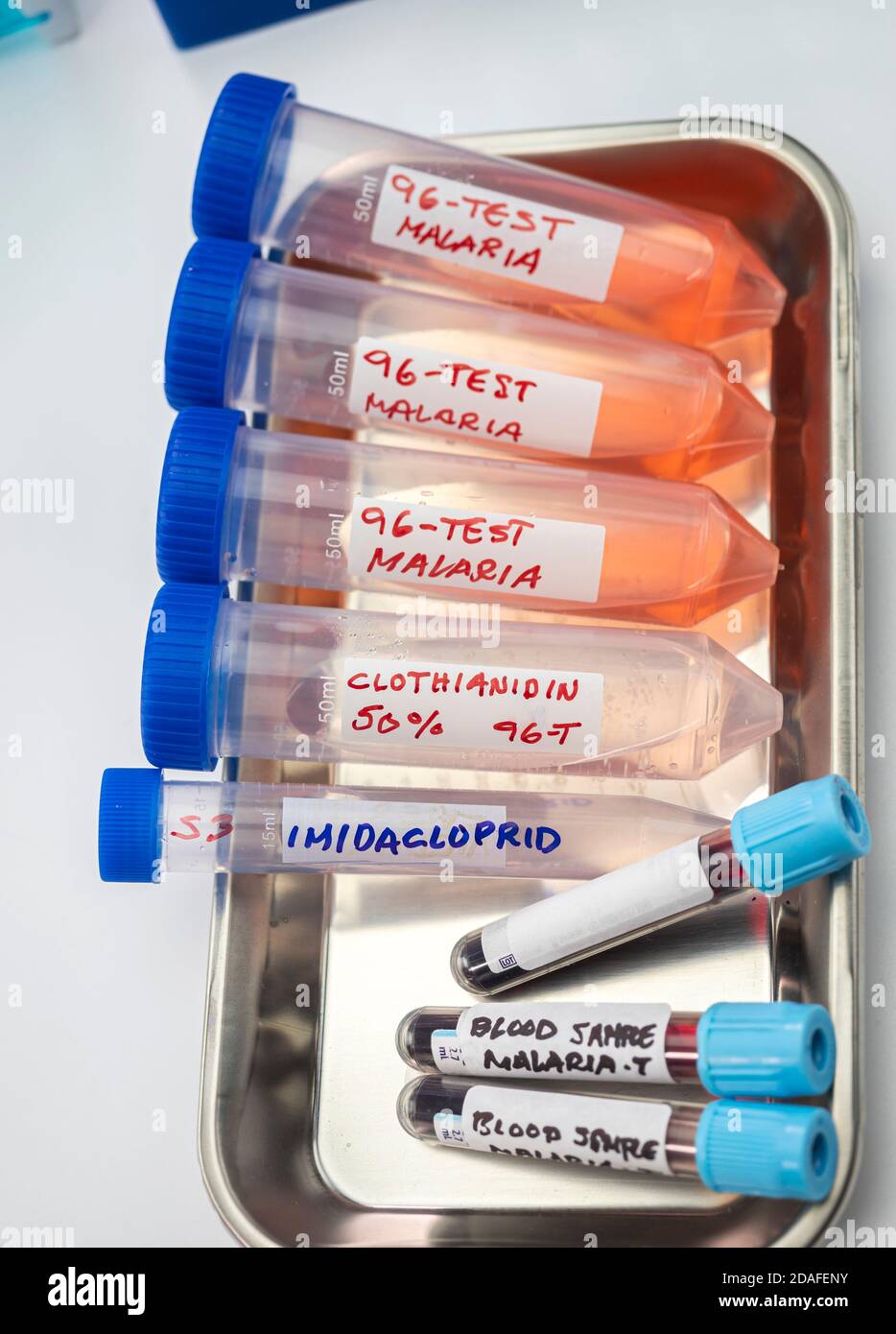 Epidemiology of malaria hi-res stock photography and images - Alamy