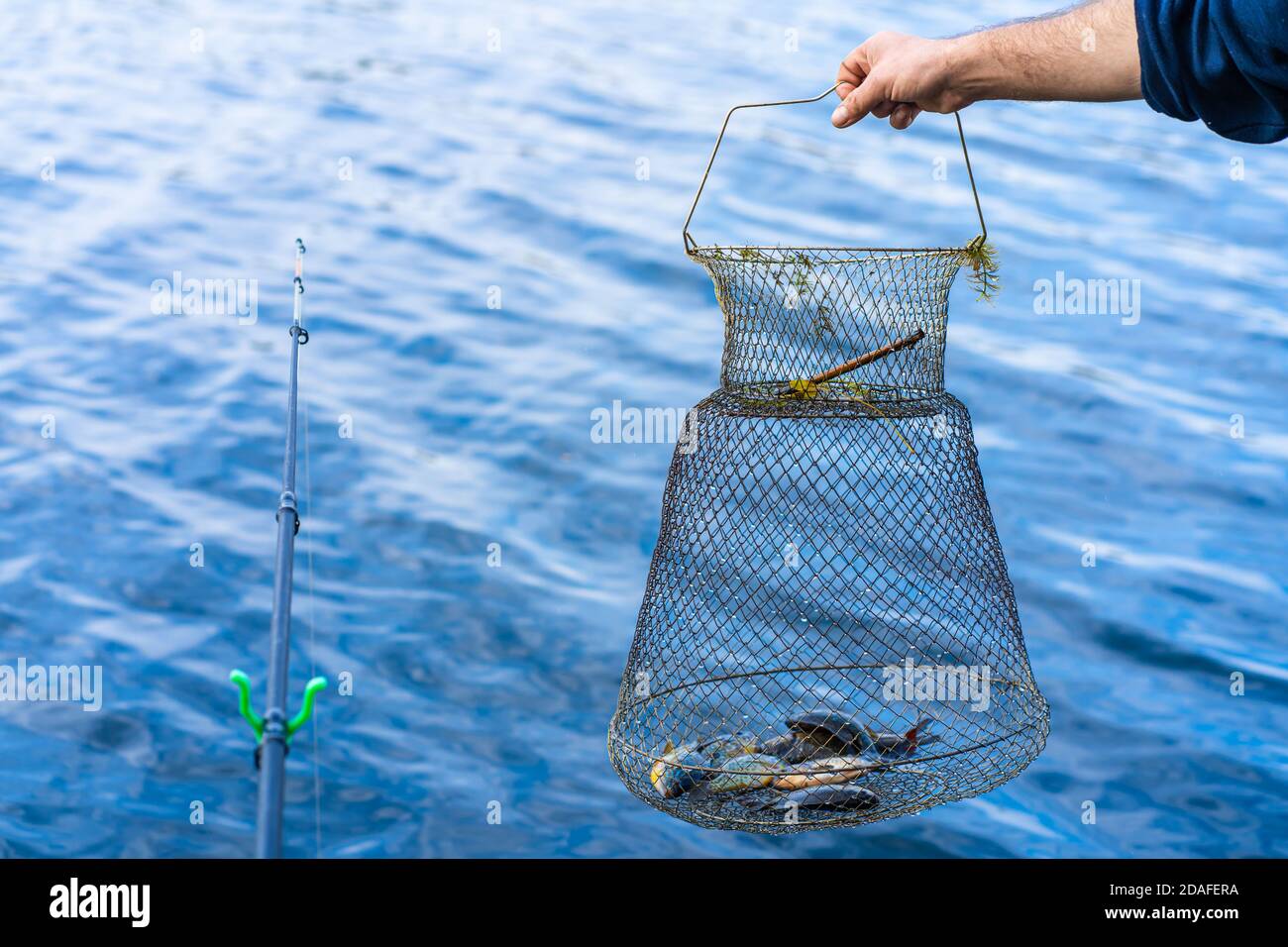 Fish catch in a net box. Fishing hobby and leisure. Silent hunting