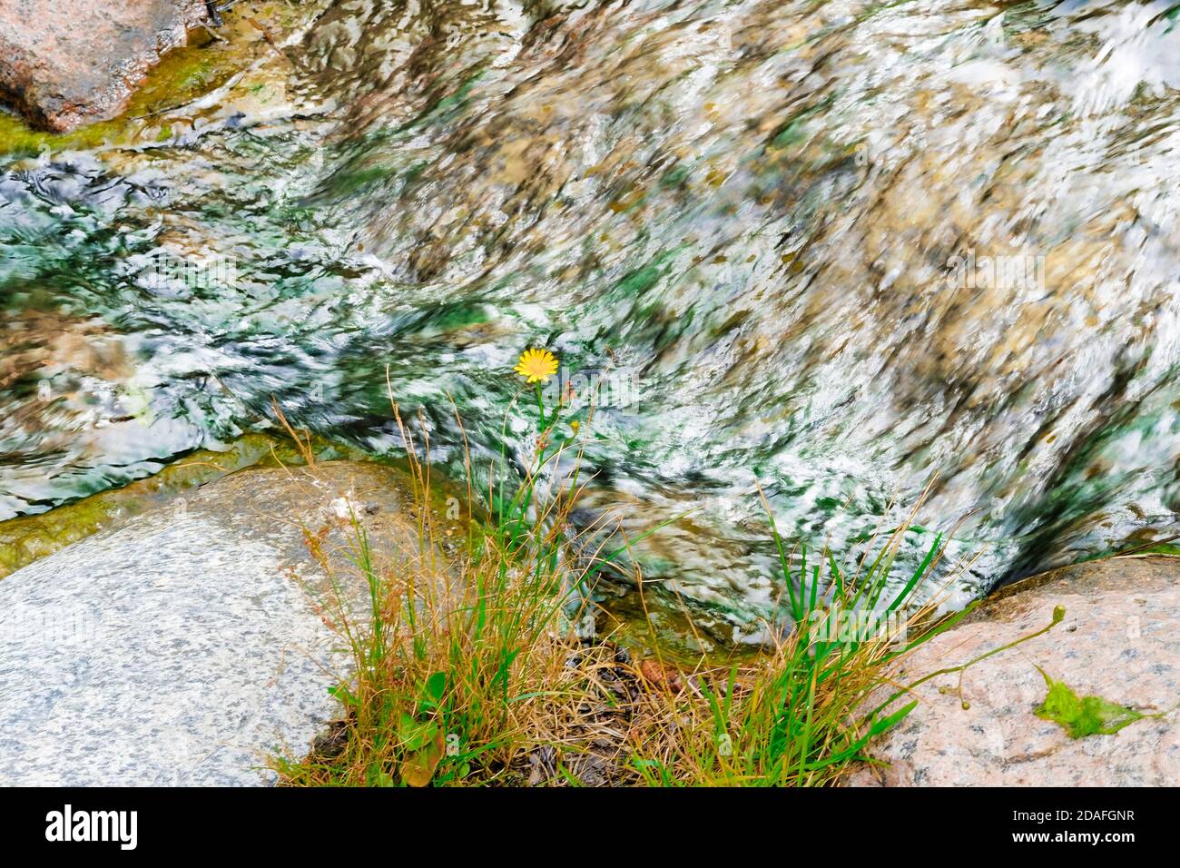Small creek in northern rocks, Sapokka landscape park, Kotka, Finland. Stock Photo