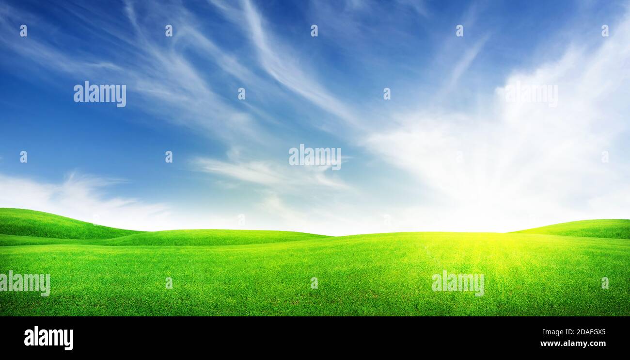 Green grass field and blue sky with bright sun summer landscape ...