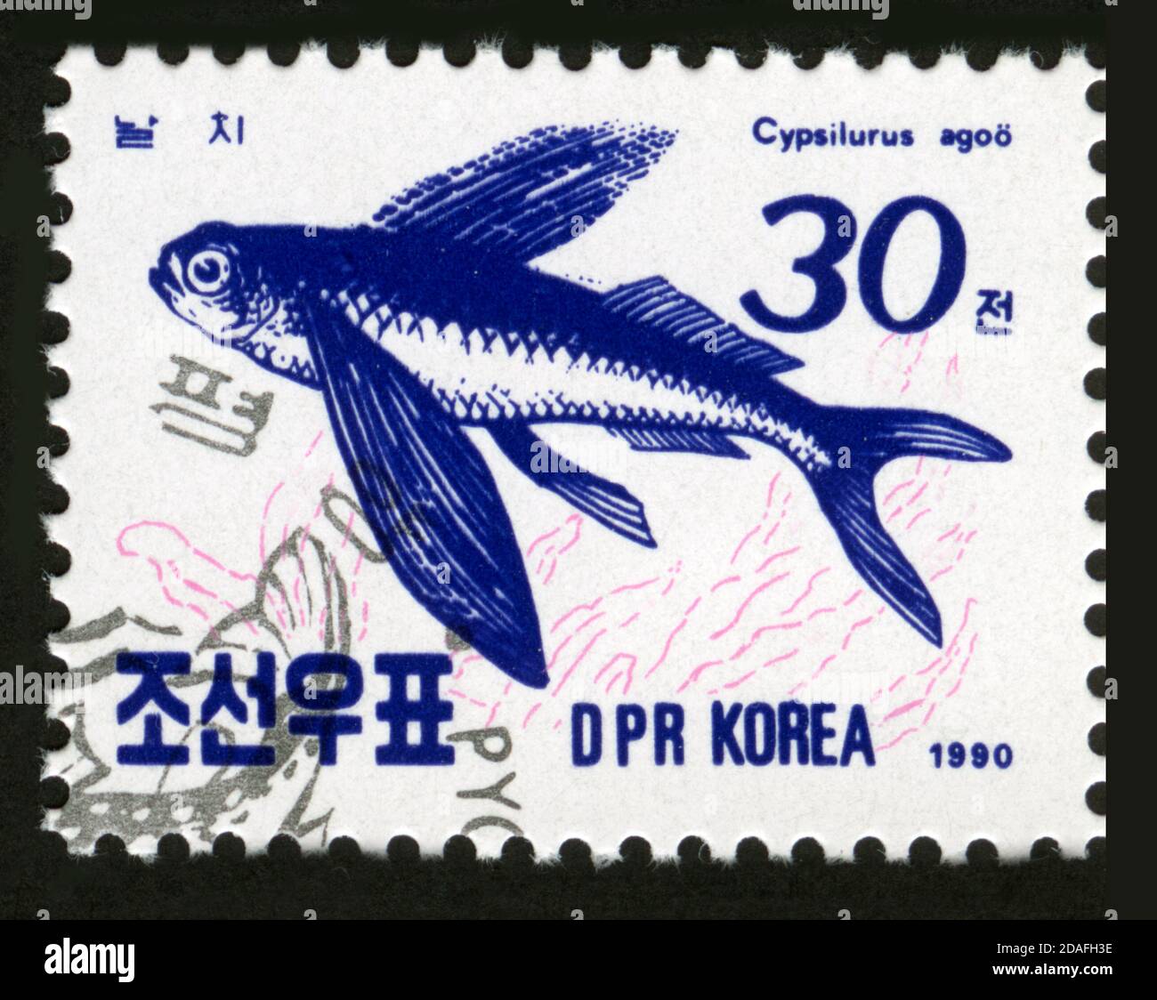 Stamp print in Korea,1990,animals,fish,Cypsilurus agoo Stock Photo