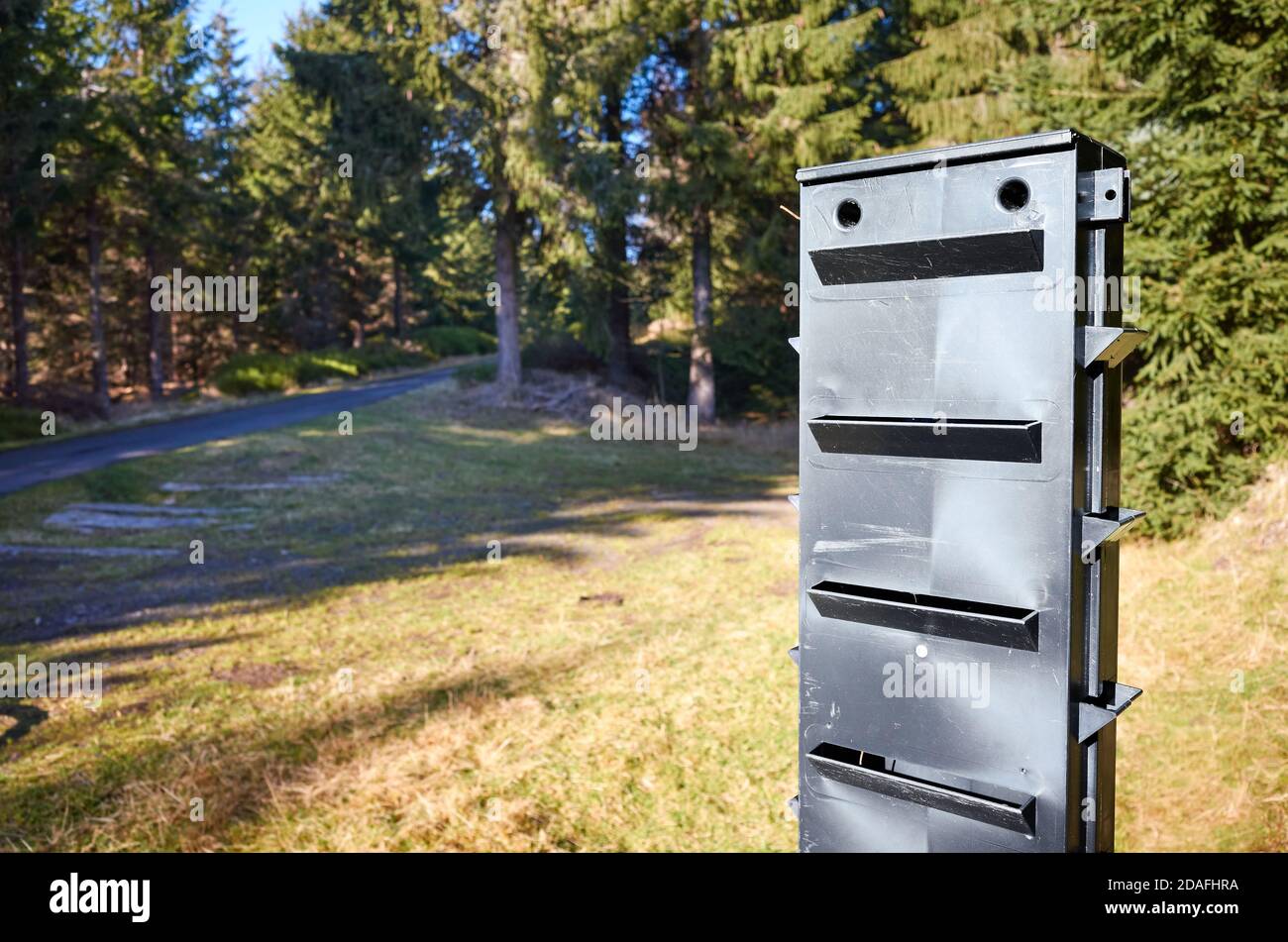 Close up picture of bark beetle pheromone trap in forest, selective focus. Stock Photo