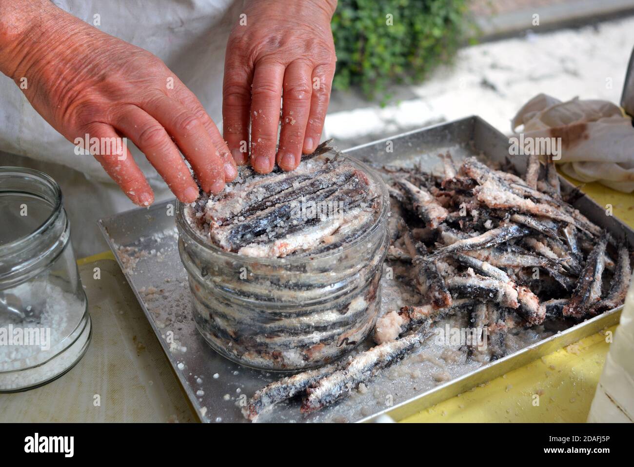 Preparation of salted anchovies in a glass jar Stock Photo Alamy