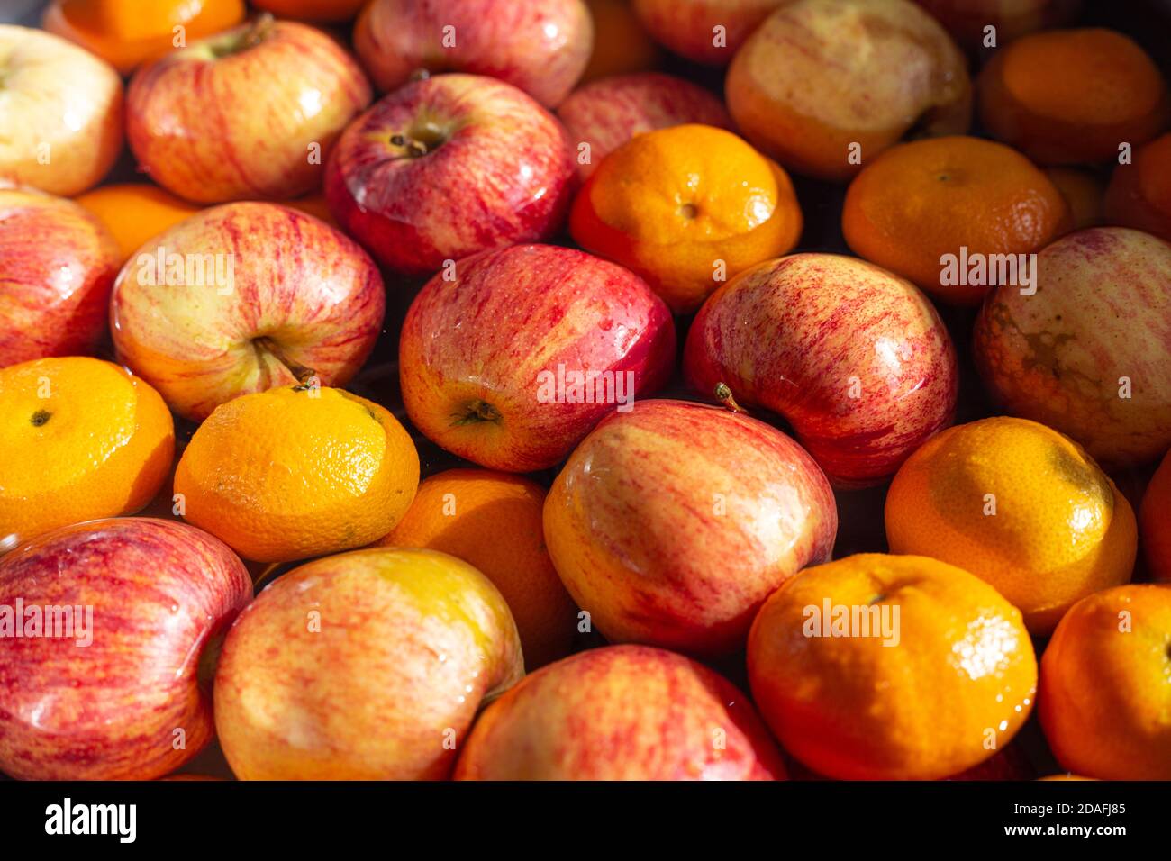 Group of apples and tangerines floating in water. Fruit washing concept background Stock Photo