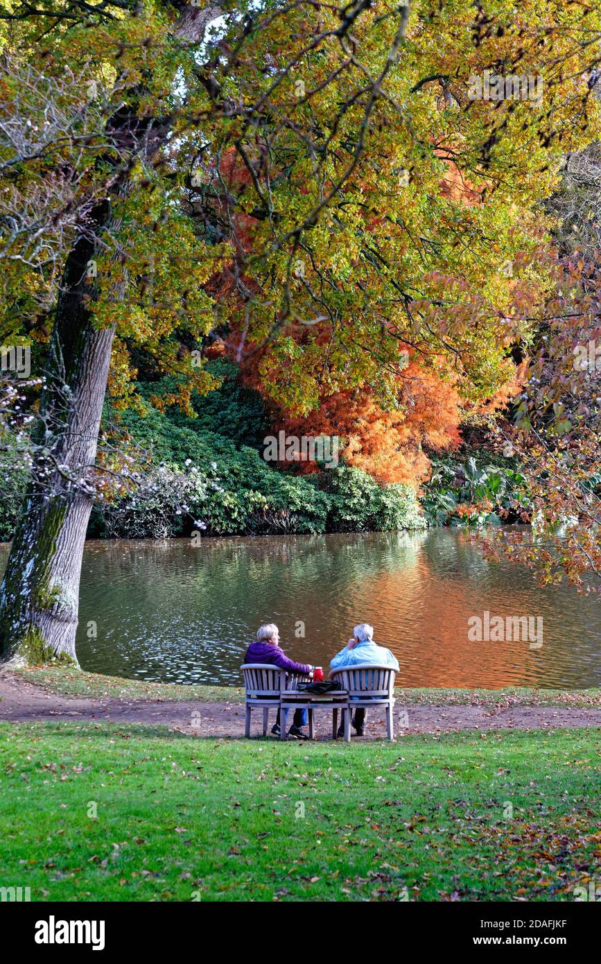 A rear view of an elderly couple sitting on bench by a lake with colourful autumnal trees in the background, Sussex UK Stock Photo