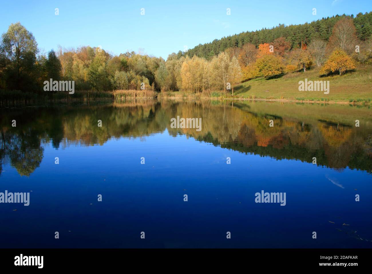 View of the lake gültlingen. The autumn forest is reflected in the lake. Stock Photo