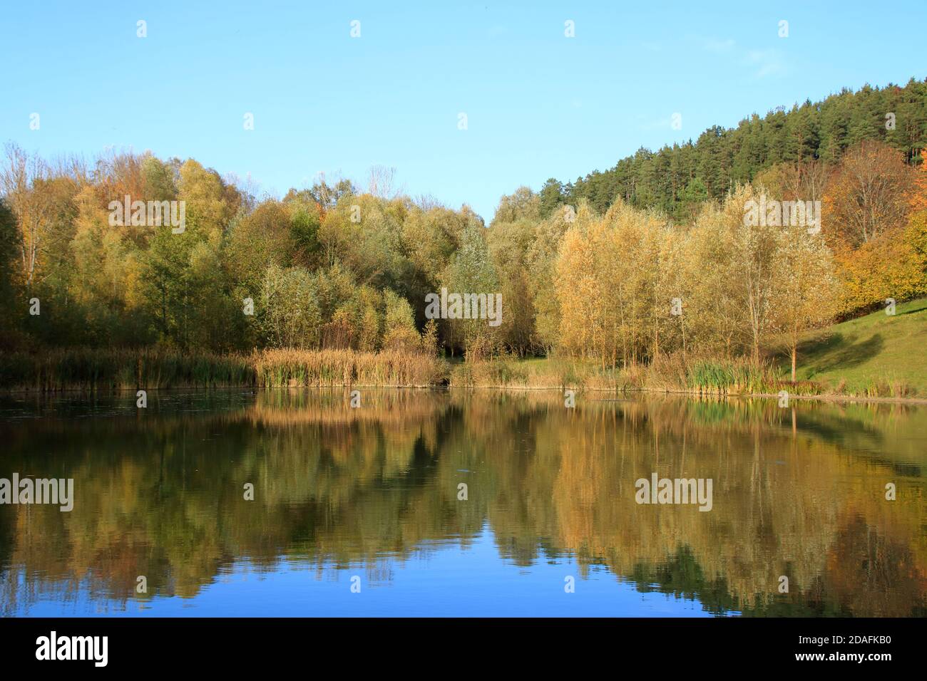 View of the lake gültlingen. The autumn forest is reflected in the lake. Stock Photo