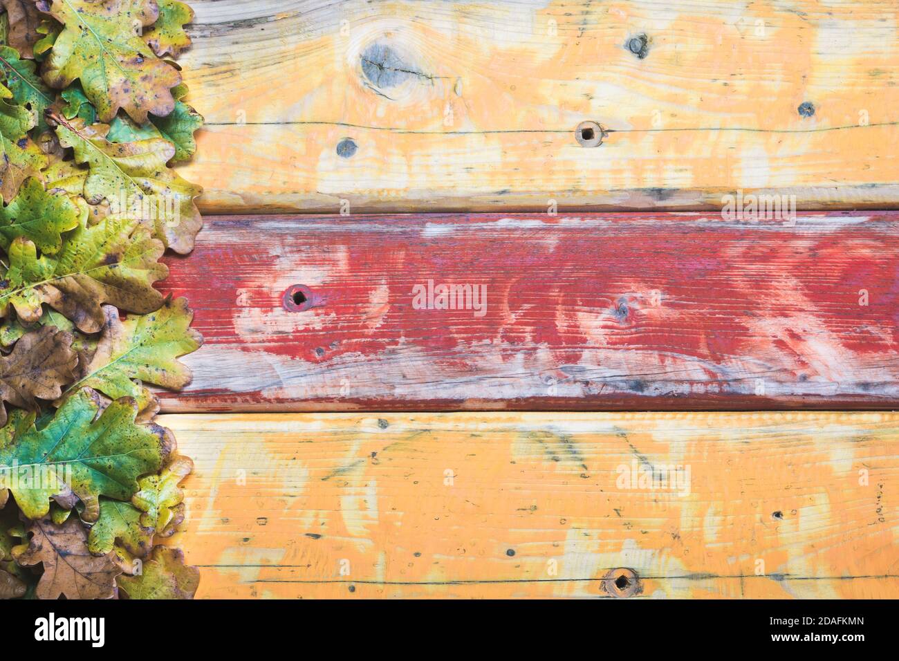 Old wood colorful background with oak leaves on the side. Yellow and red old weathered wooden boards. Space for copy text. Stock Photo