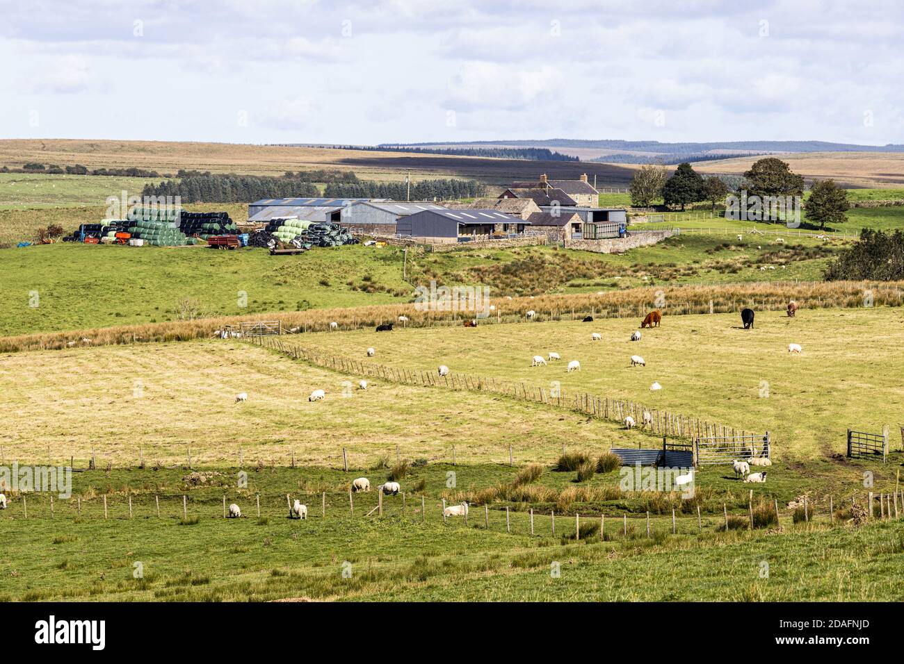 Farms northumberland hires stock photography and images Alamy