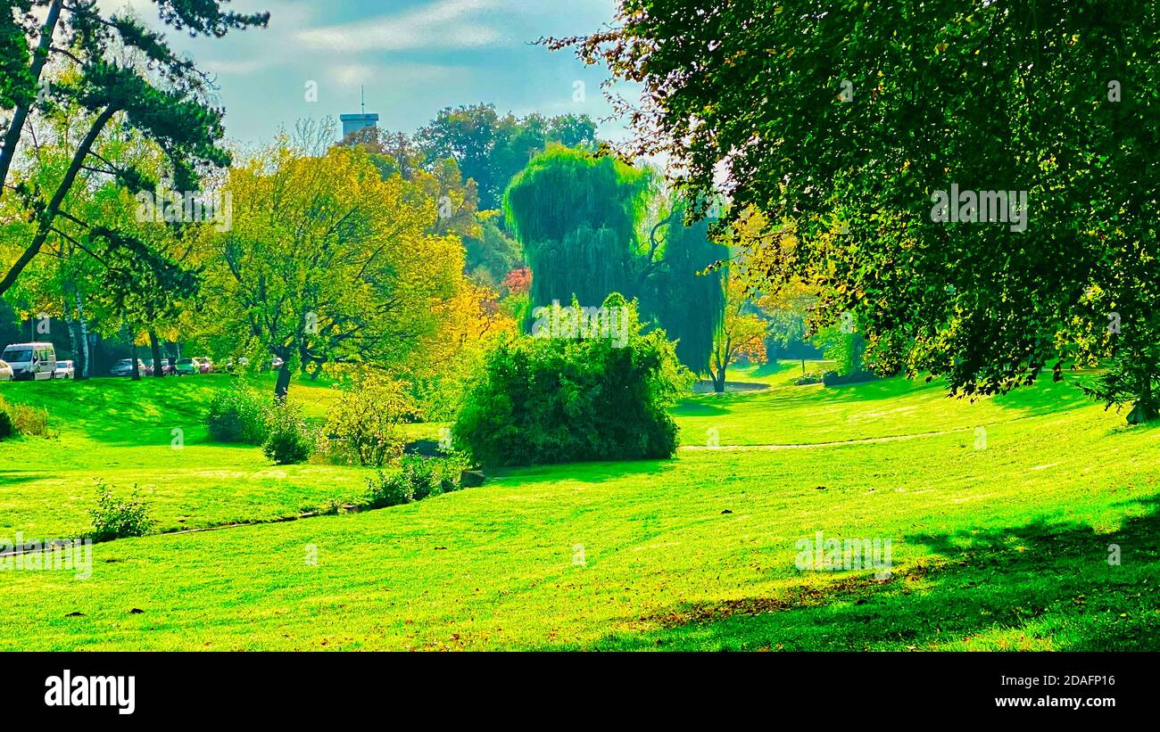 Sony a600 hi-res stock photography and images - Alamy
