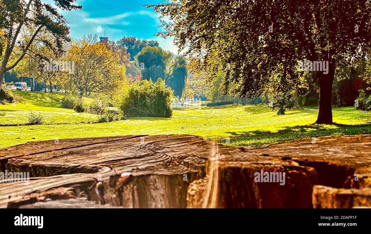 Sony a600 hi-res stock photography and images - Alamy
