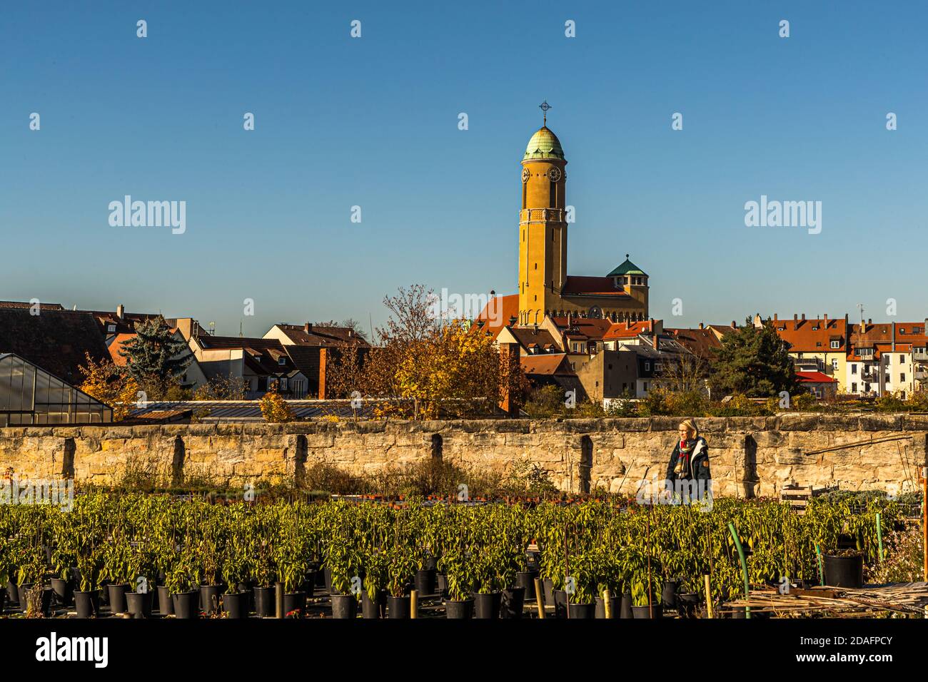 Historic cultivation areas in the middle of the city. In the background St. Otto, the parish church of the gardening district, built by Orlando Kurz in 1911 - 1914. The Market Gardeners’ District of Bamberg is on the UNESCO World Heritage List since 1993 Stock Photo