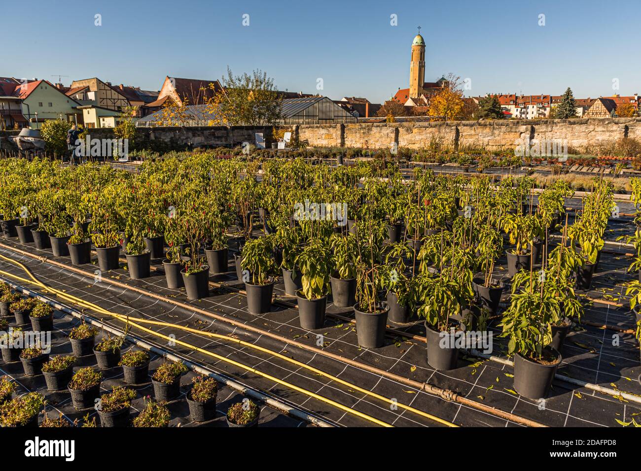 The Market Gardeners’ District of Bamberg is on the UNESCO World Heritage List since 1993 Stock Photo