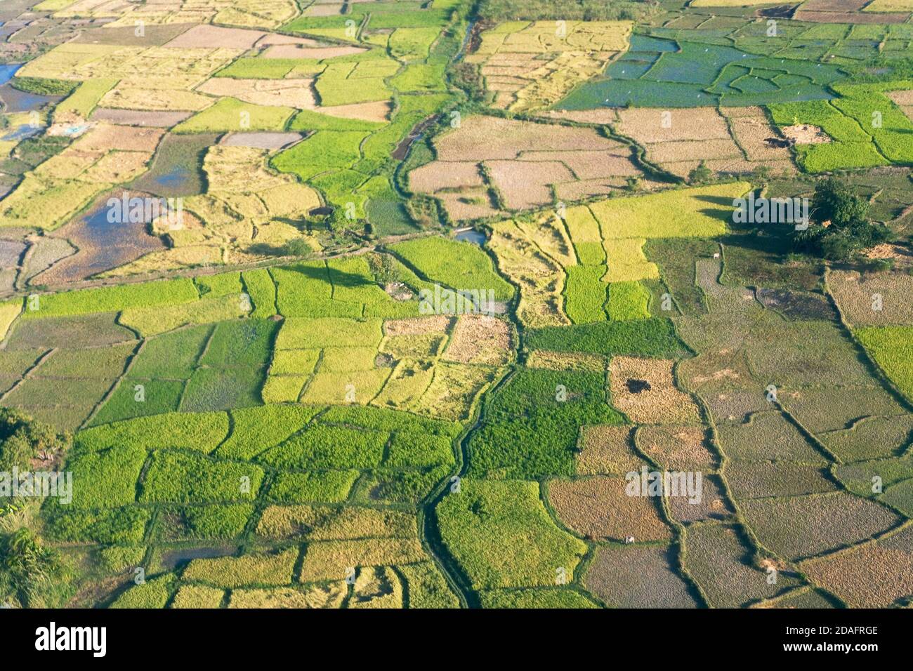 Aerial view of farmland, Madagascar Stock Photo