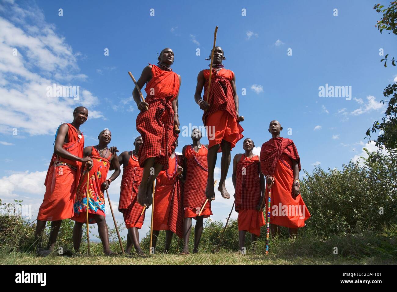 Masai tribespeople performing jumping dance, Masai Mara, Kenya Stock Photo
