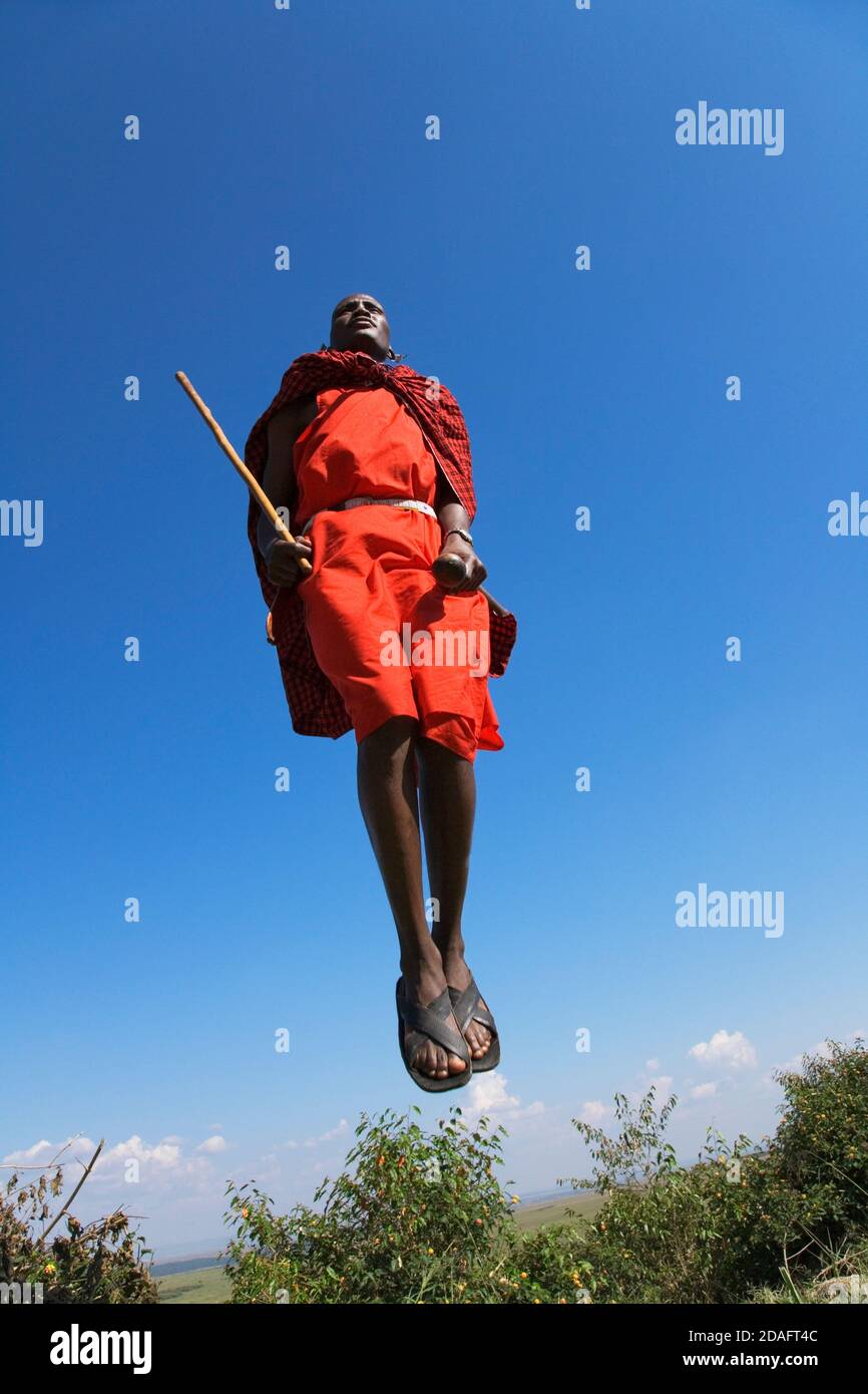 Masai tribespeople performing jumping dance, Masai Mara, Kenya Stock Photo