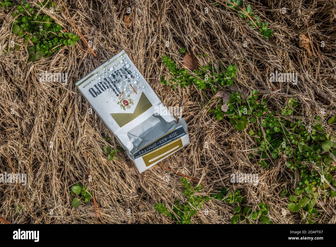 Empty pack of Marlboro cigarette box laying on the ground carelessly discarded polluting the environment outdoors copy space Stock Photo